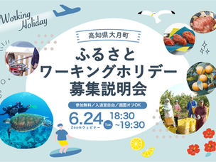 【令和7年度】高知県大月町移住定住促進事業業務