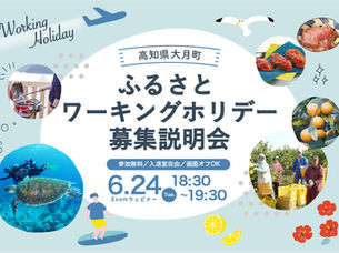 【令和7年度】高知県大月町移住定住促進事業業務