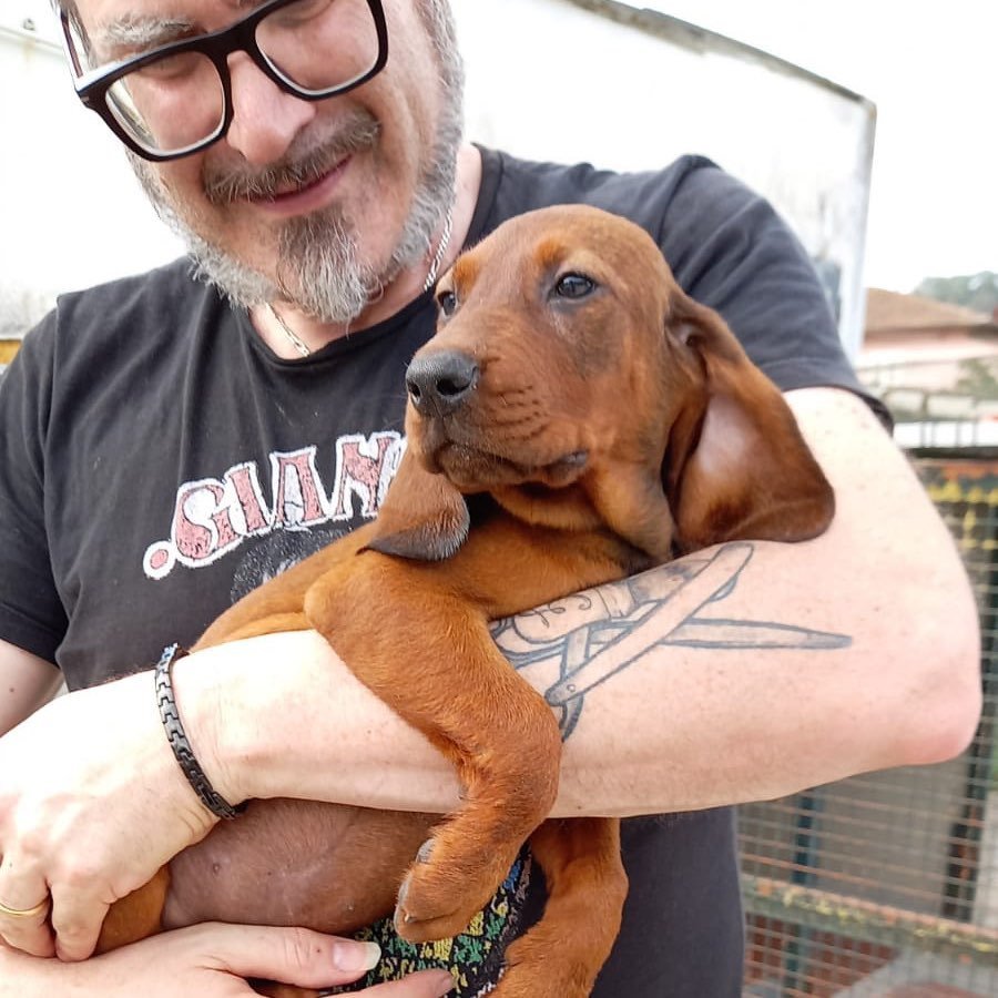 rasoio2023___costoli_gianni profile photo.jpg