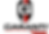 LOGO GARANTI SIN FONDO BLANCO.png