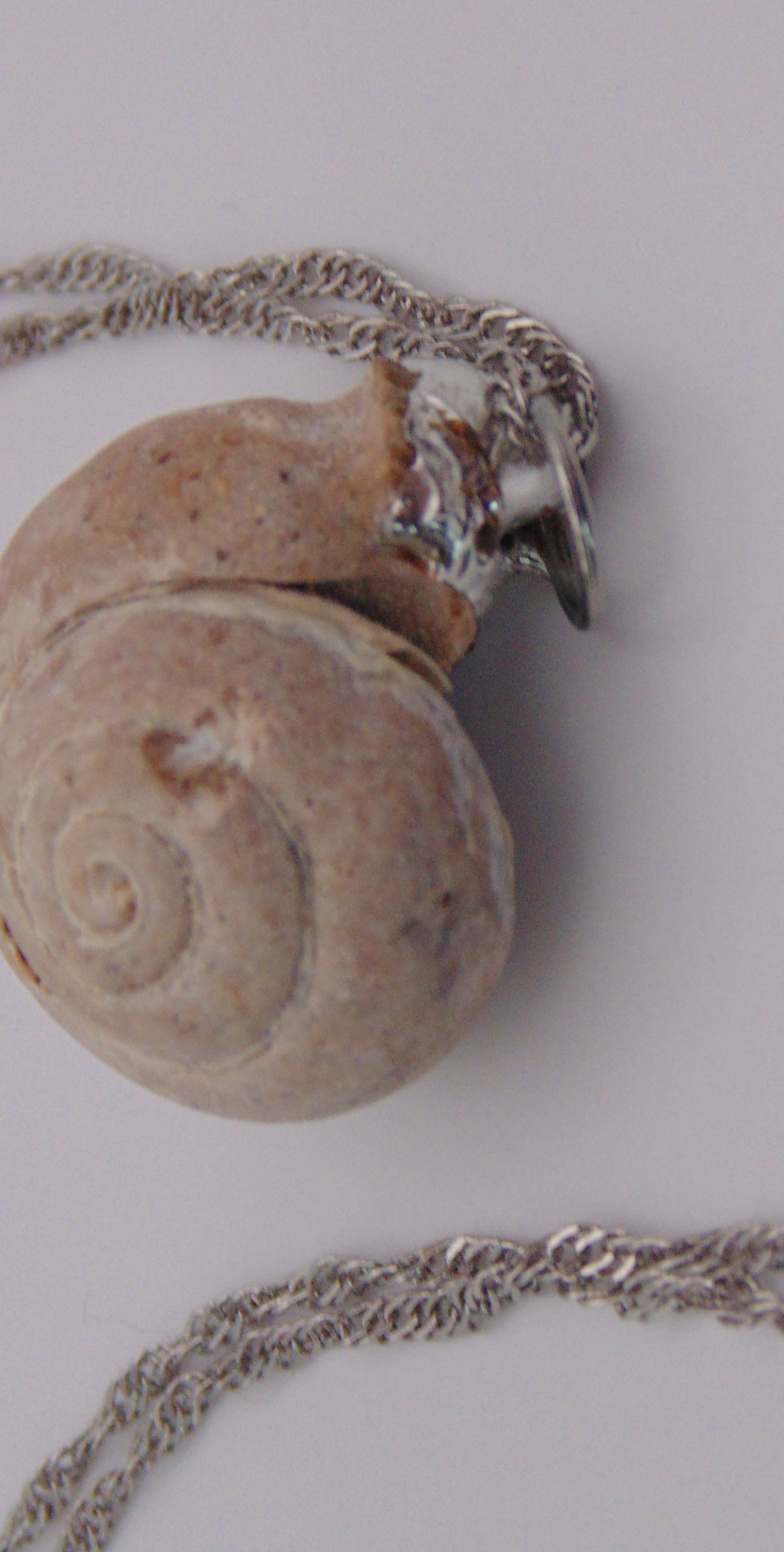 Thumbnail: Shell Drop