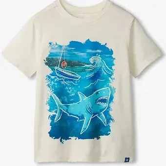 shark