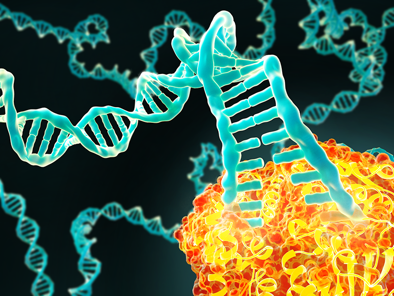 DNA & Proteins - What Are They? The Blueprint for Life Explained