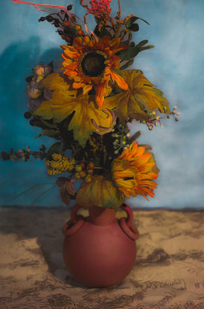 Photo of Sunflowers (And Other Blooms) by Heather Watt.