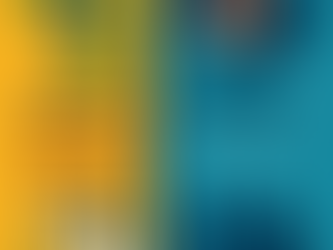 Já parou pra pensar por que o Brasil e os Estados unidos, apensas de algumas semelhanças, têm resultados econômicos e sociais tão diferentes?