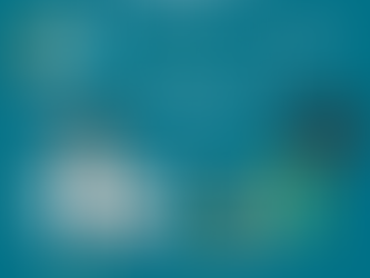 A Carga Tributária e o Empreendedorismo no Brasil