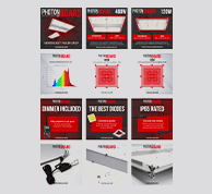 Brand-Mini-AvatarsArtboard-7.png