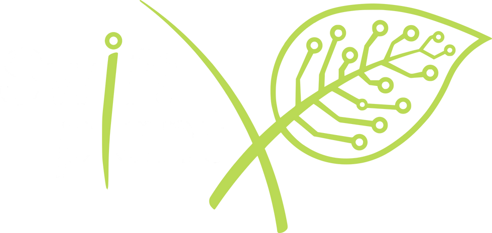 Logo-SPX-white.png