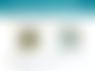 Memoir at Number 85 on Best Seller List