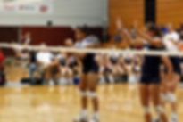 Volleyball Player at Net