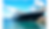 Yacht6.png