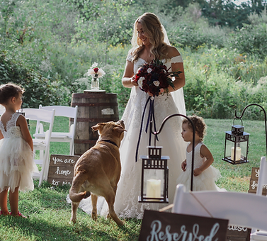 A bride with her dog and two young bridesmaids