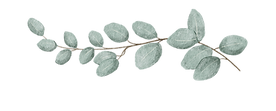 Eucalyptus Corner new (1)_edited.png