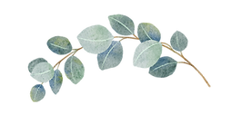 Eucalyptus Corner new (1)_edited_edited.