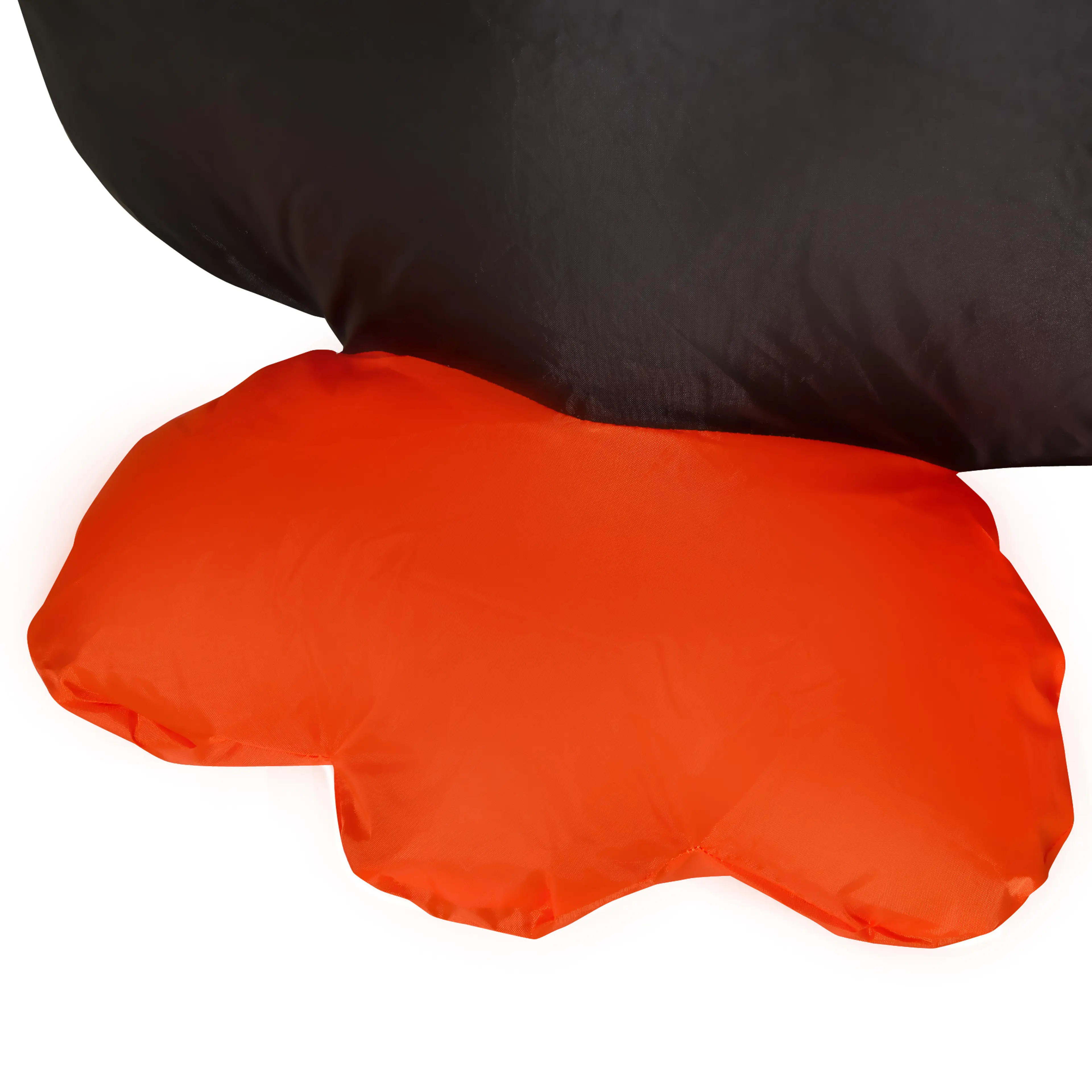 Närbild på pingvinens orange fot