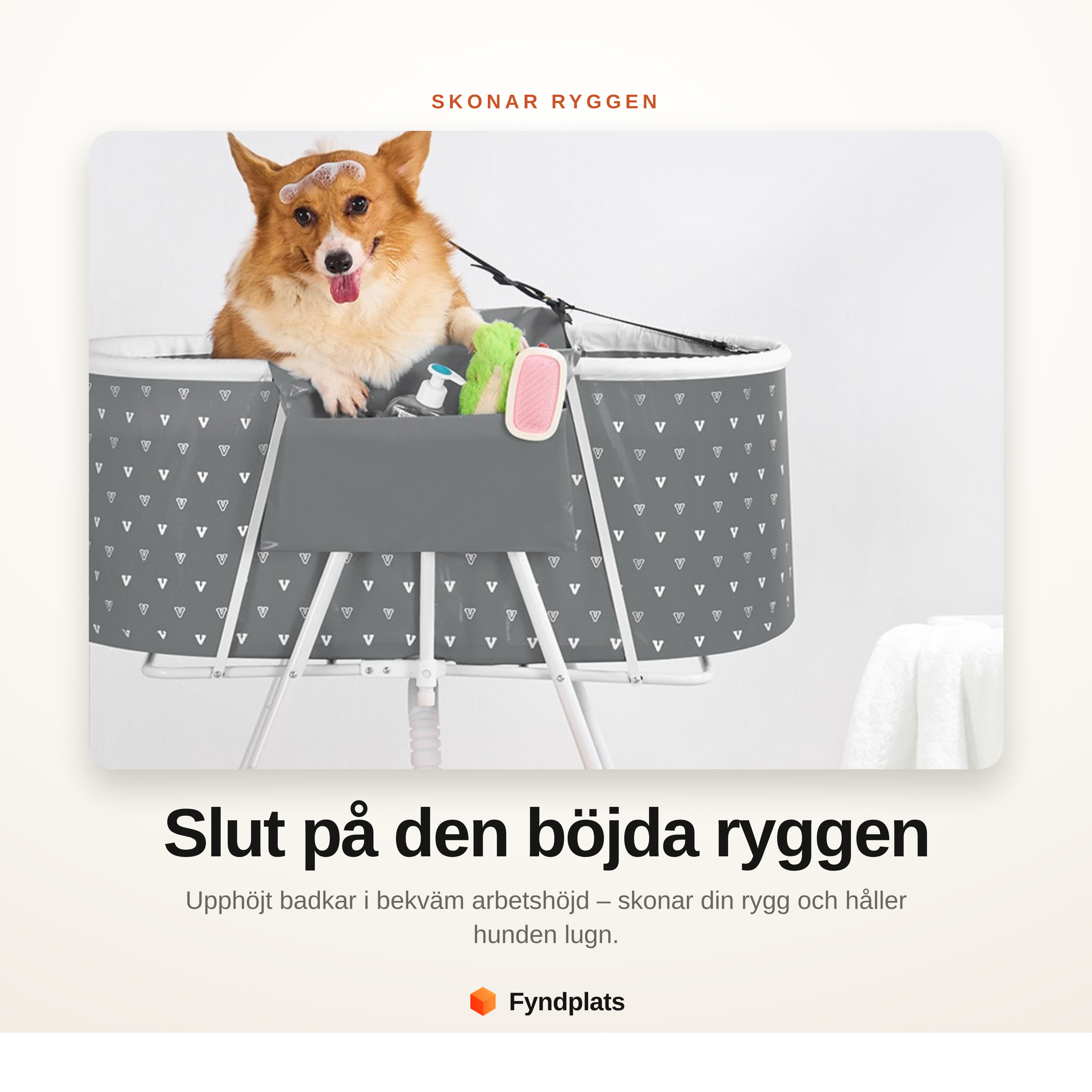 Hopfällbart hundbadkar för hund och katt, upphöjt med dränering
