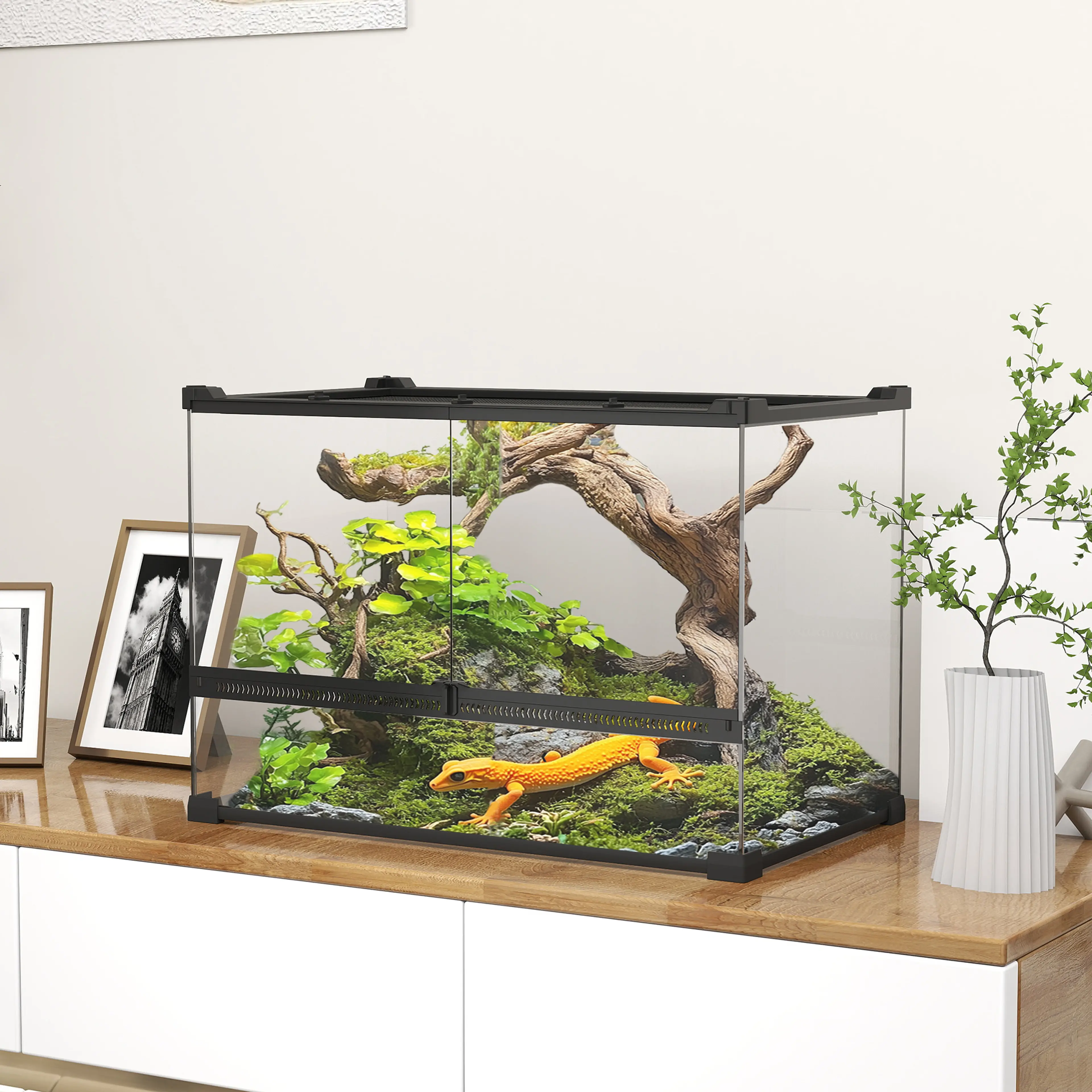 Glasterrarium 50 × 30 × 35 cm, 48 liter med frontlucka – bild 2