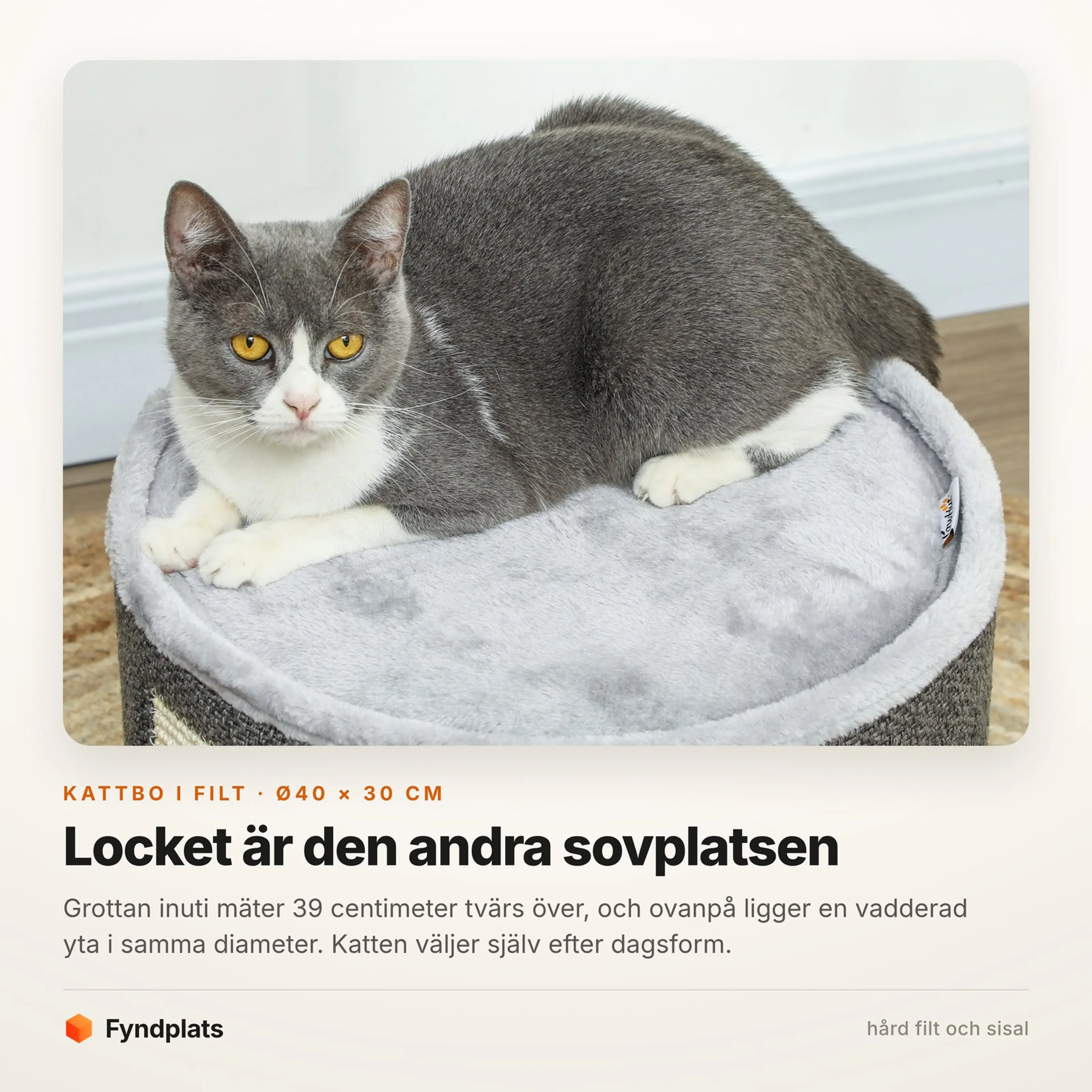 Faktakort: locket är den andra sovplatsen