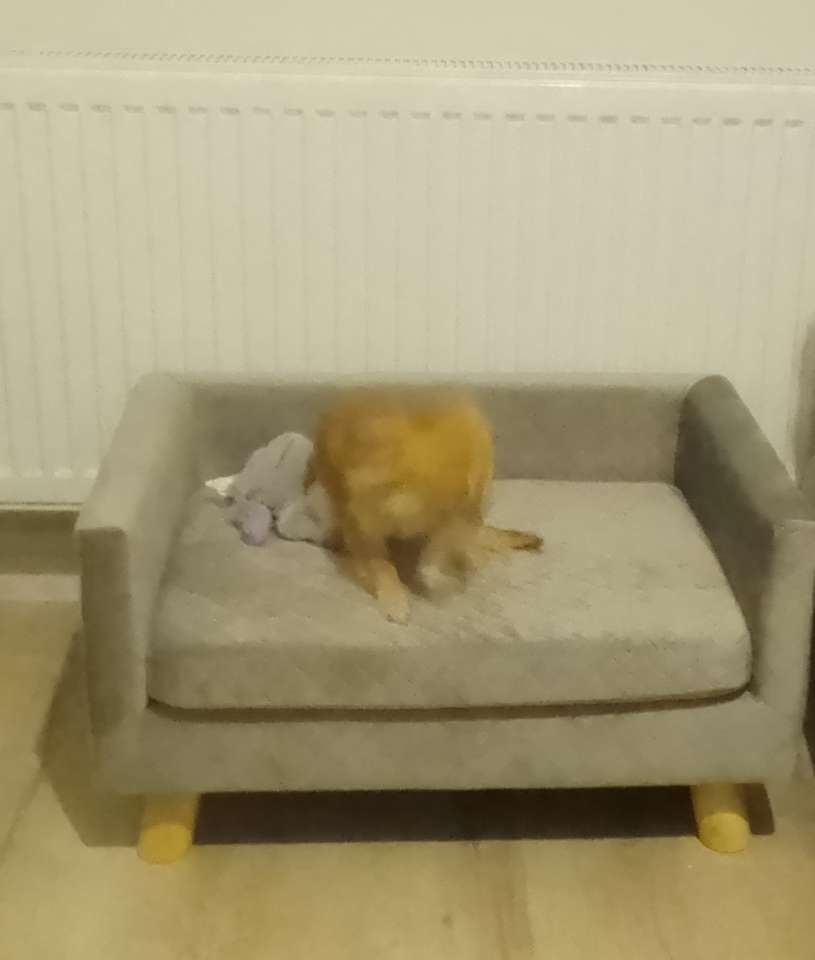 Kundbild från T.U.