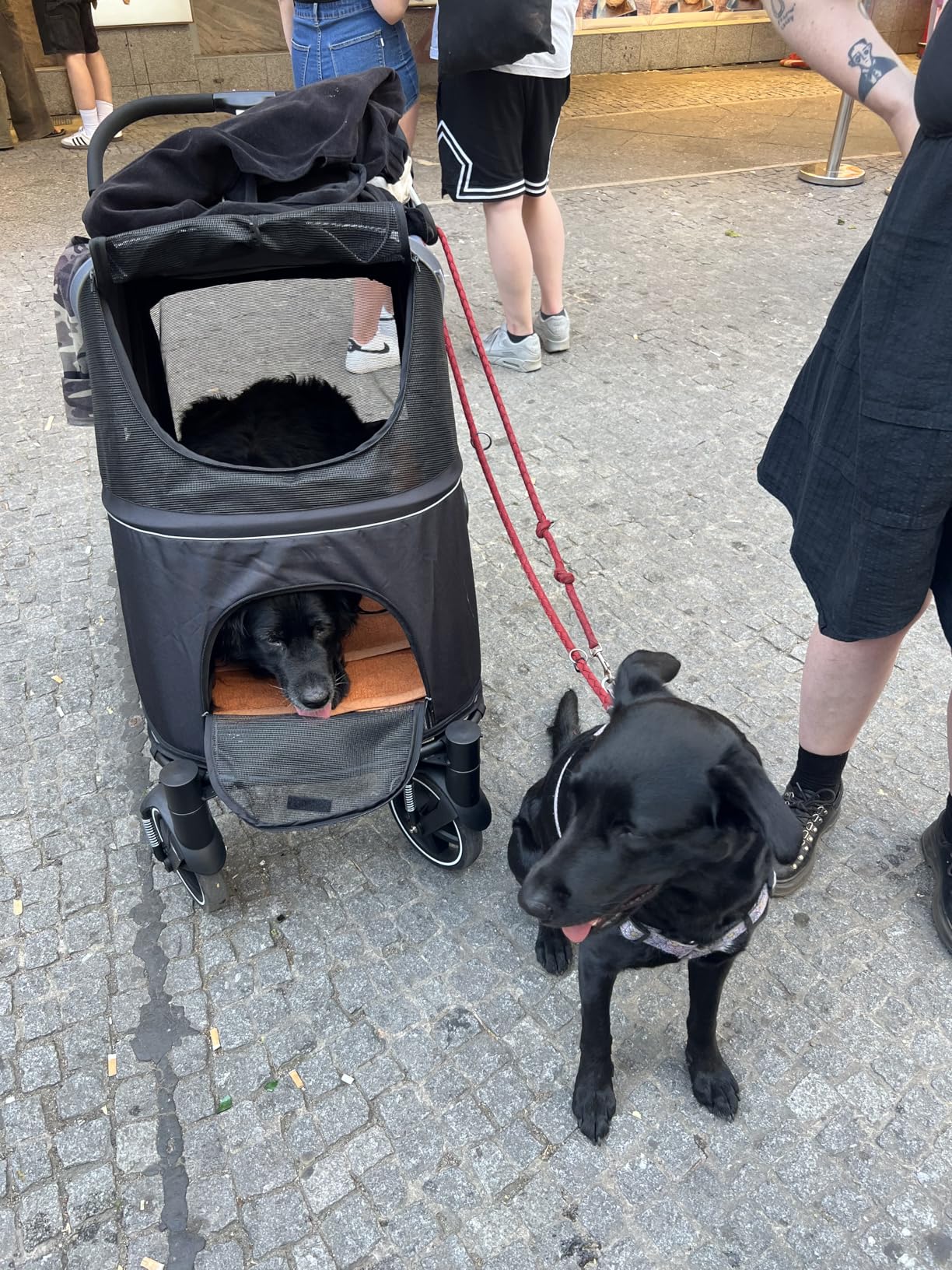Kundbild från K.L.