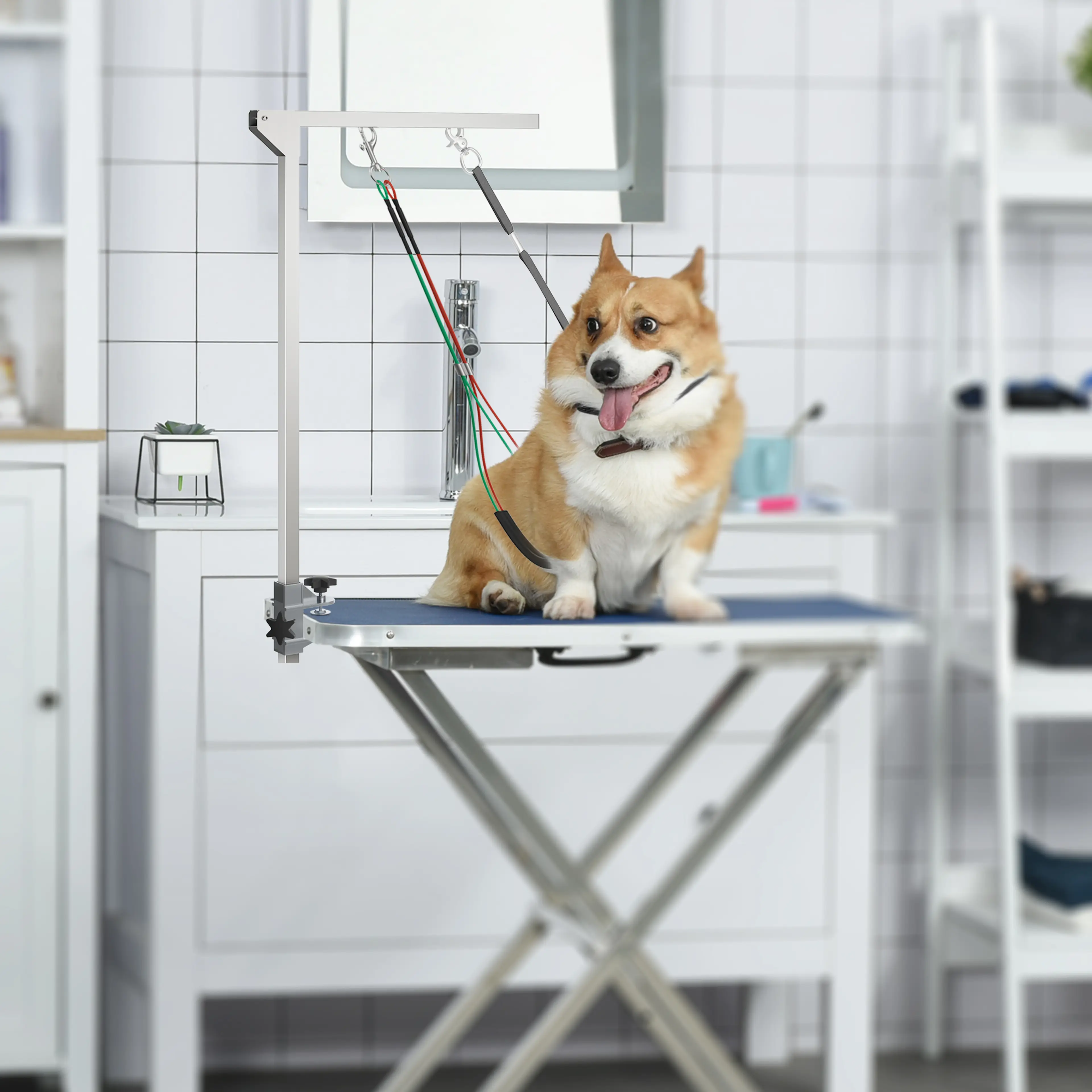 En hund på ett trimbord med trimningsarmen fäst vid bordskanten