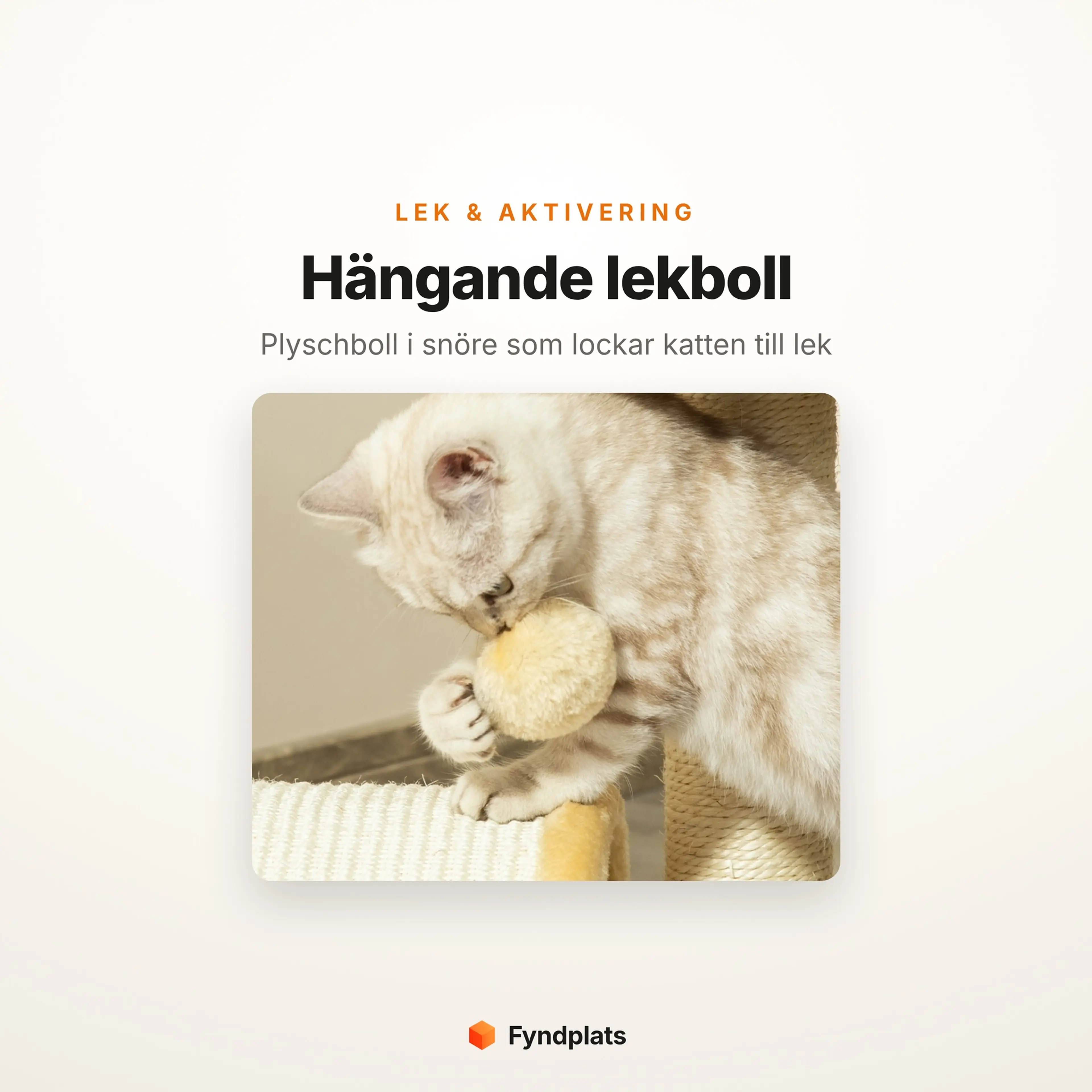 Katt som leker med den hängande plyschbollen på det lilla klösträdet