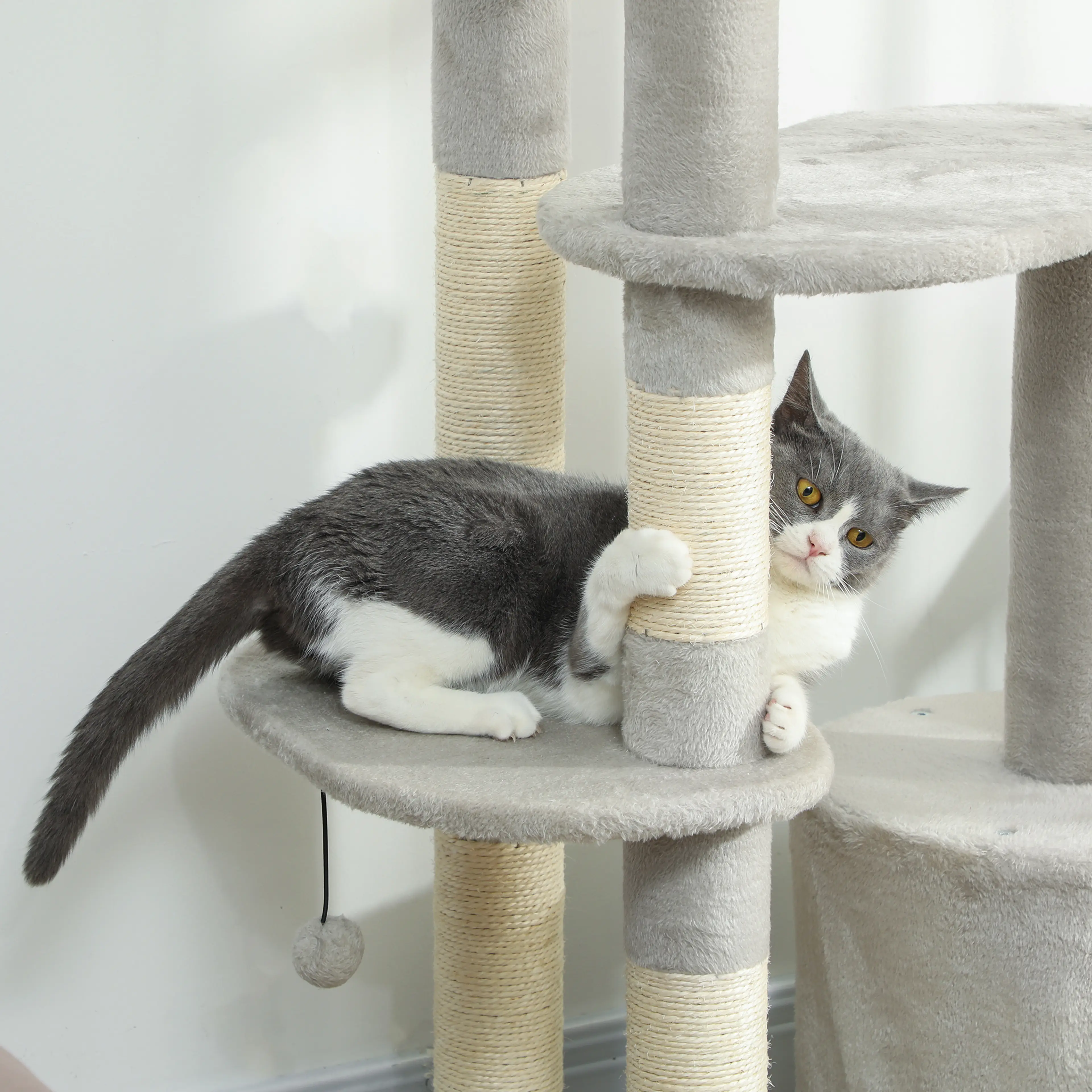 Katt som ligger på en plattform och håller om den sisallindade stammen