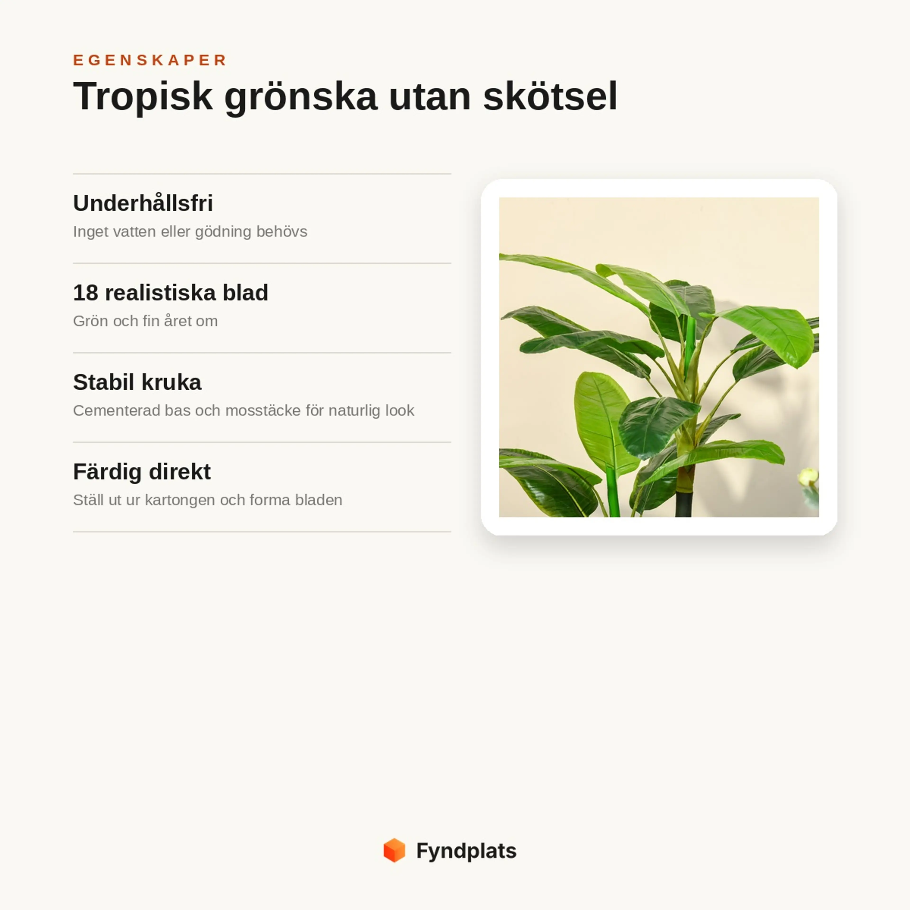 Egenskaper: underhållsfri utan vatten, 18 realistiska blad året om, stabil kruka med cementbas och färdig direkt