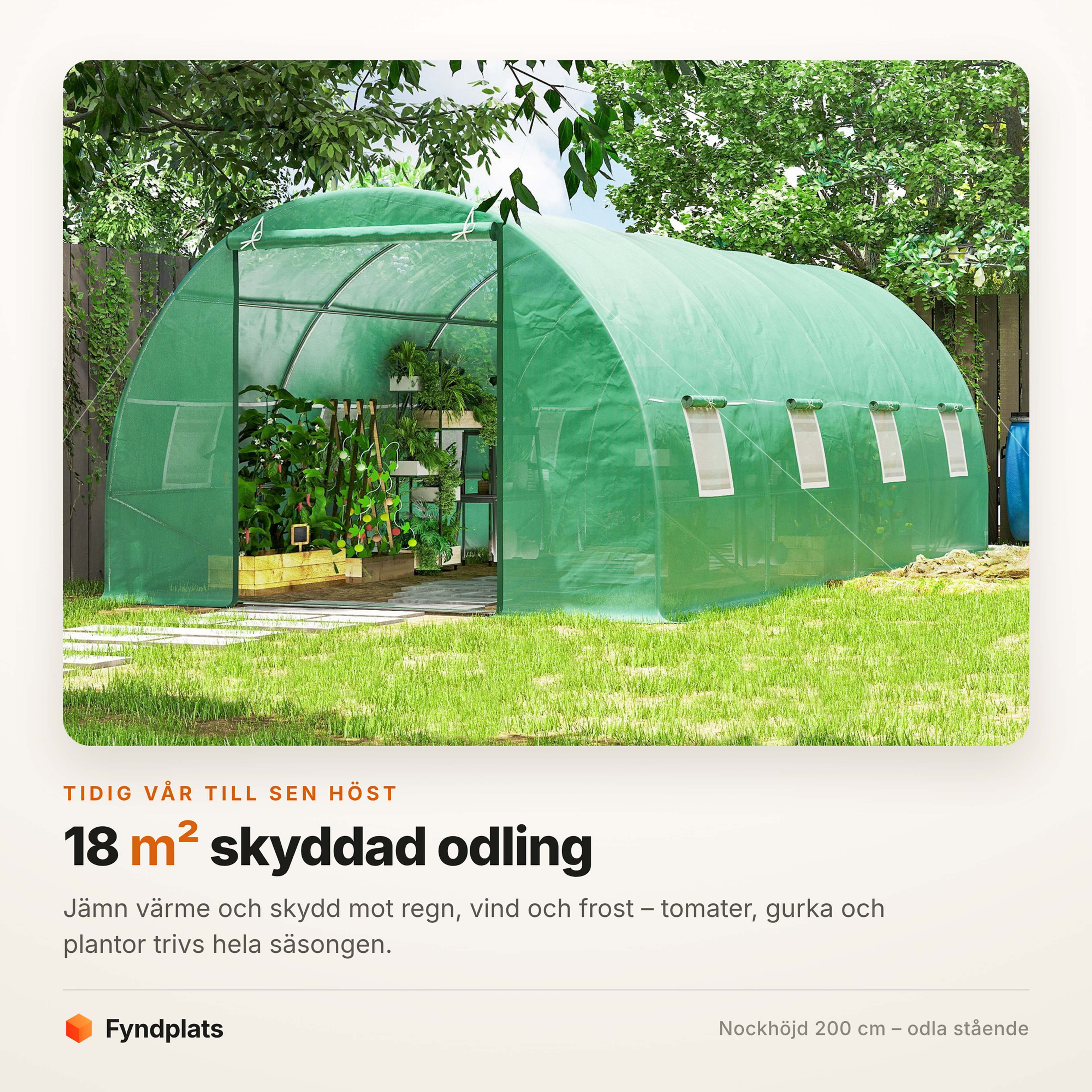 Fyndplats-kort: tunnelväxthuset uppställt i en trädgård – 18 kvadratmeter skyddad odling med nockhöjd 200 cm.
