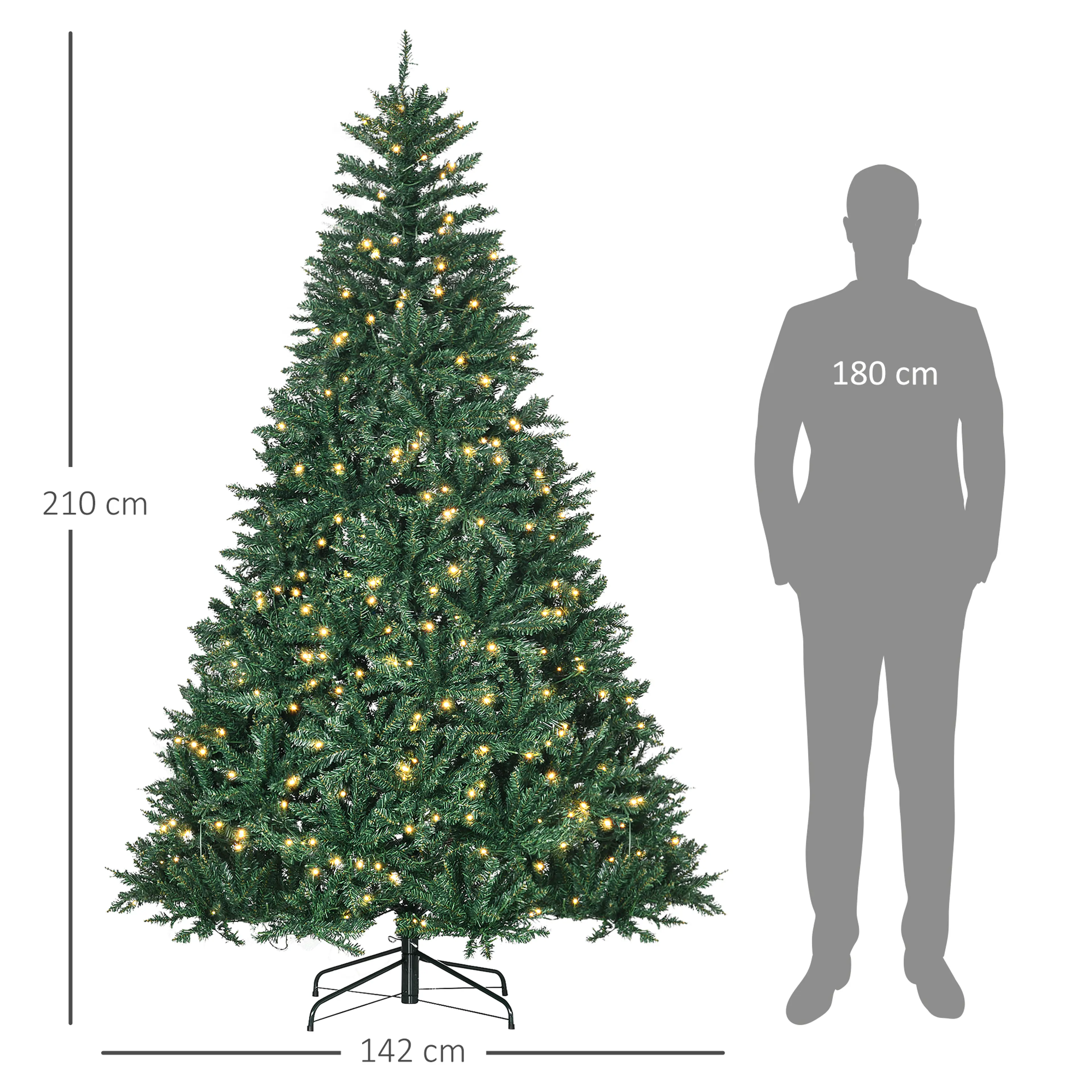Storleksjämförelse: granen 210 cm hög och 142 cm bred bredvid en person