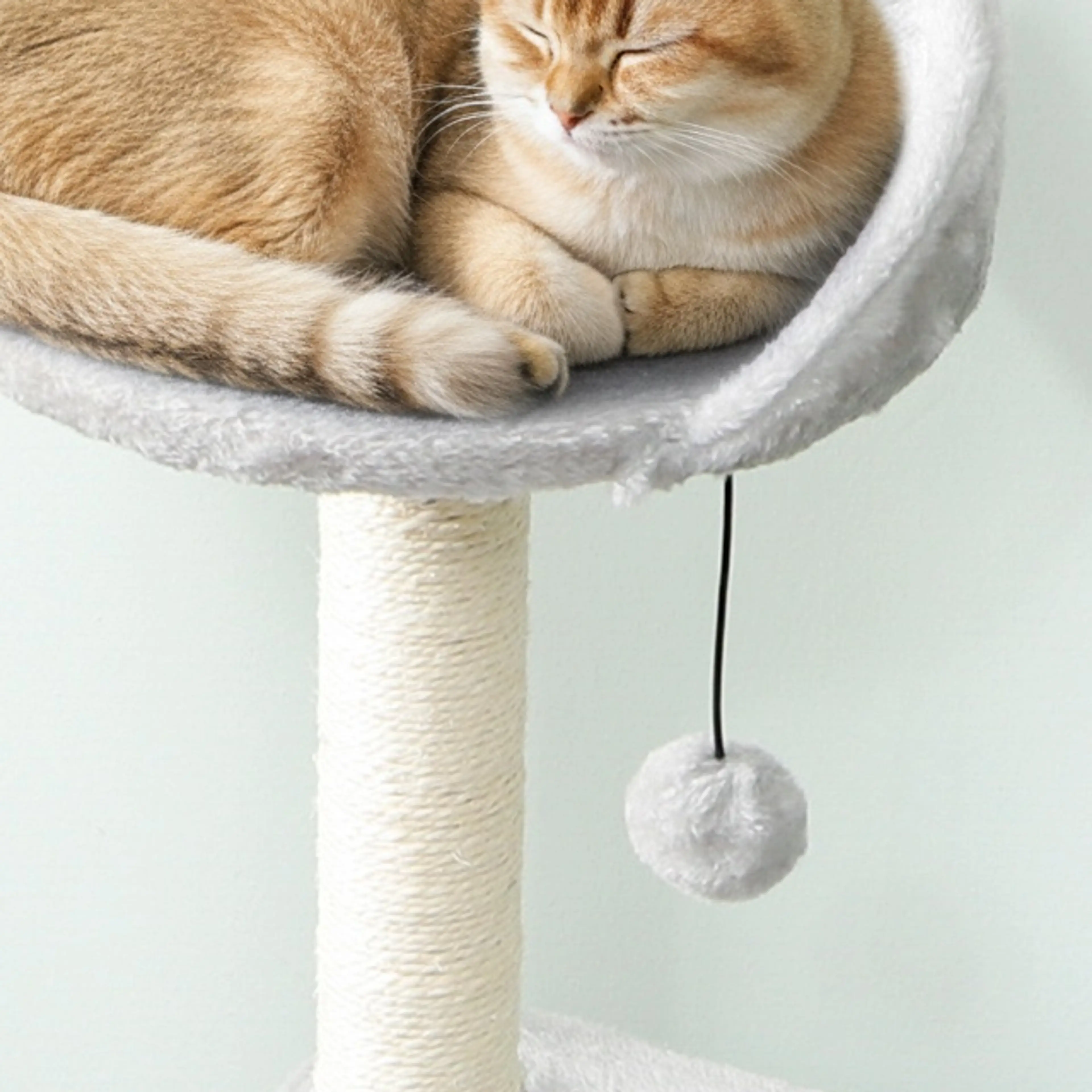 Katt som sover i klösträdets mjuka öron-formade bädd