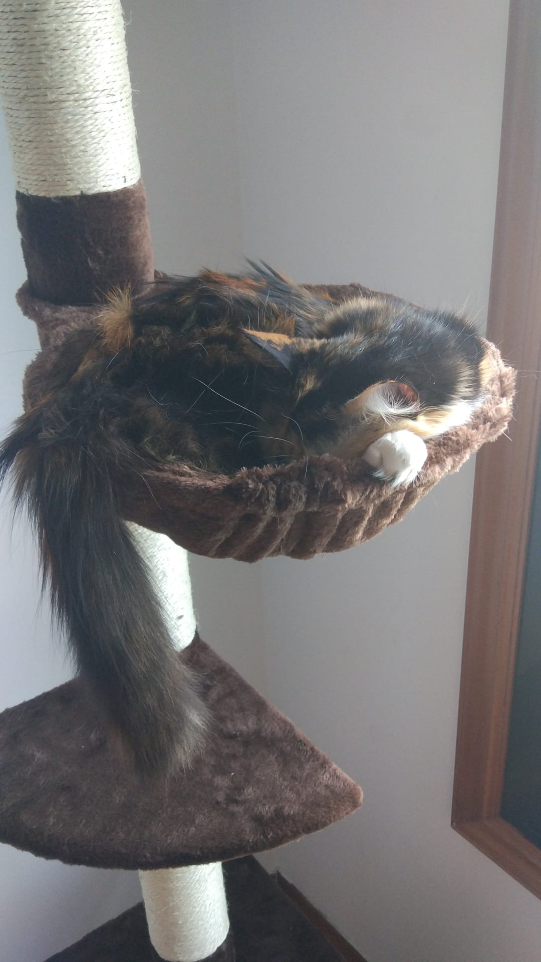 Kundbild från C.D.
