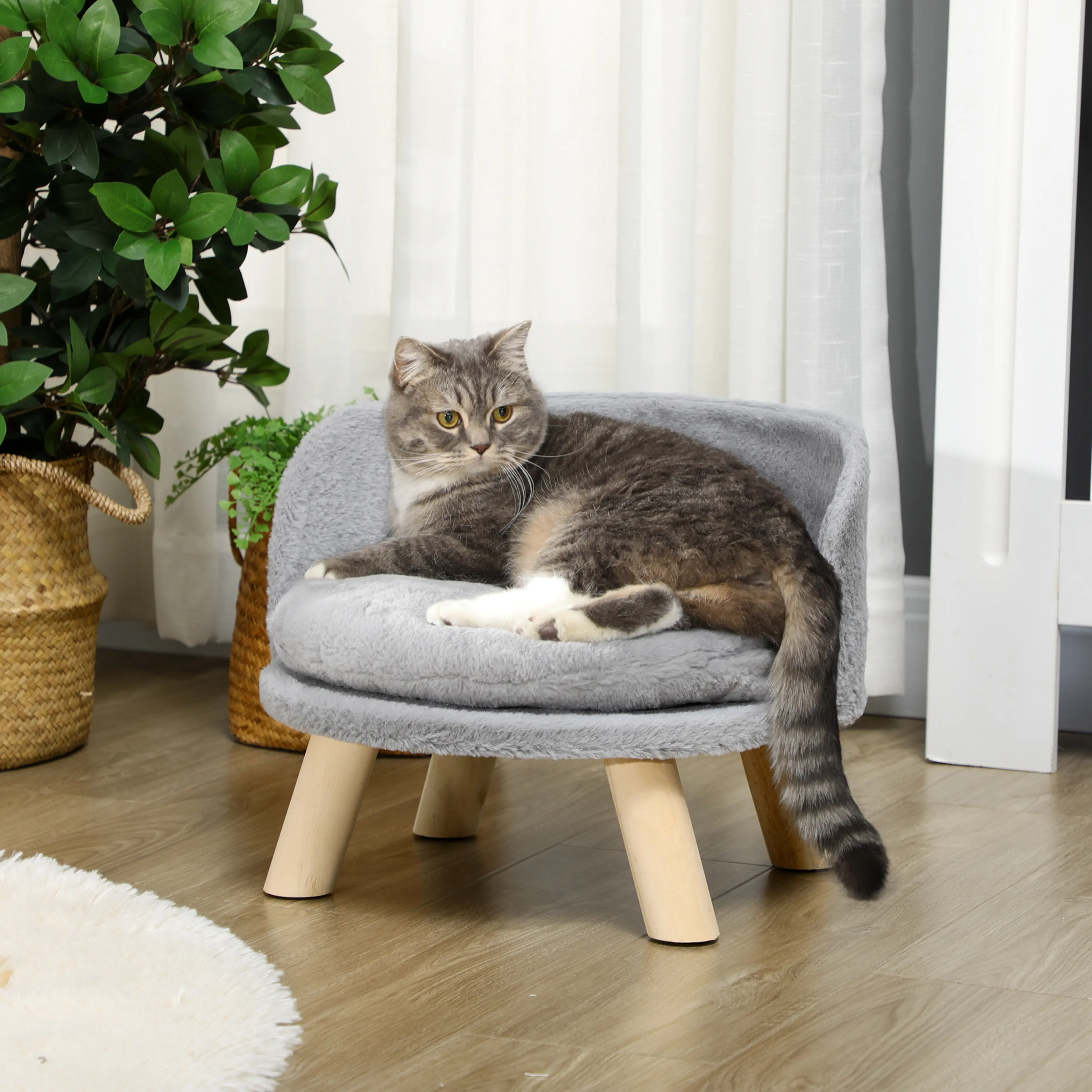 En katt ligger i husdjurssängen framför ett fönster