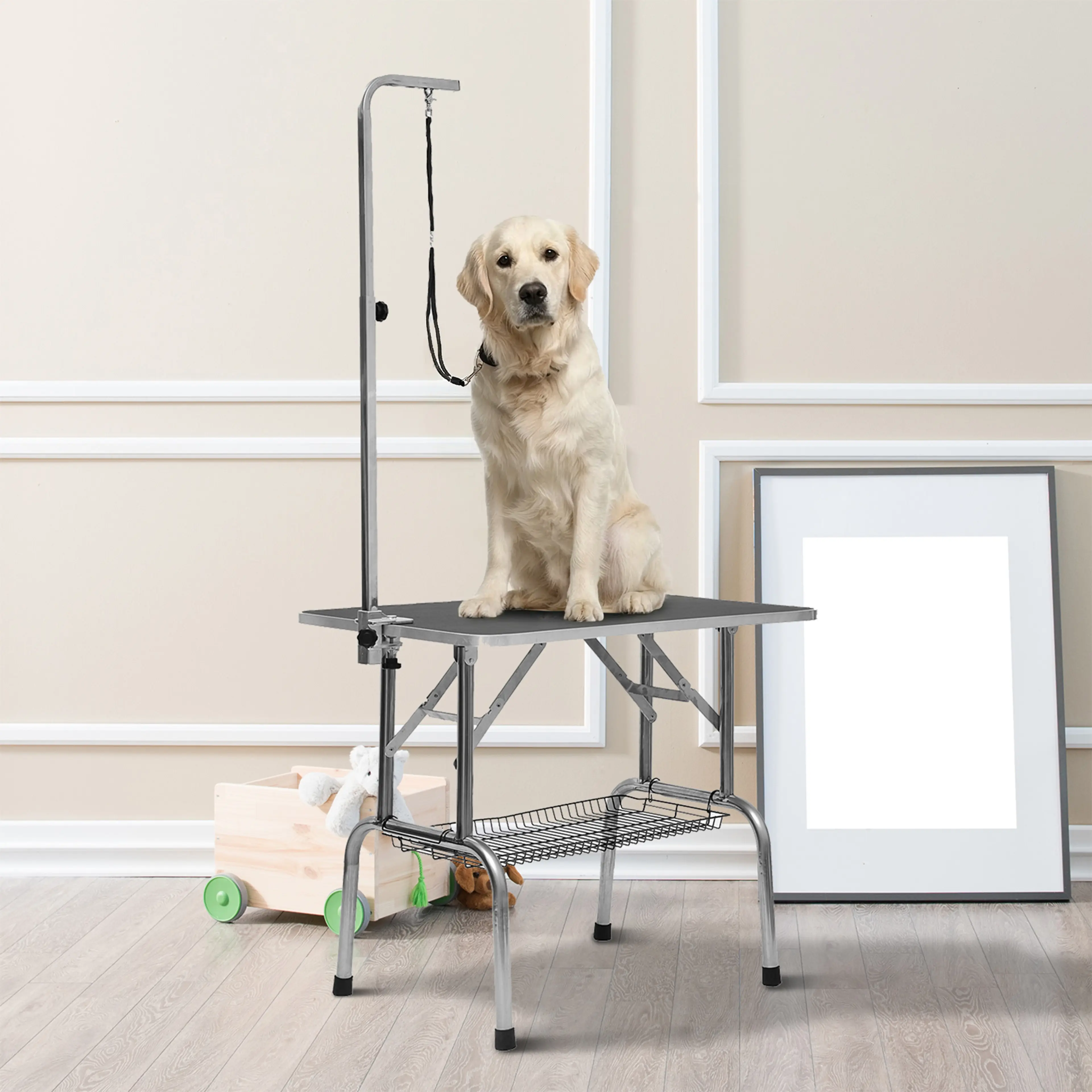 En golden retriever sitter på trimbordet i ett ljust rum