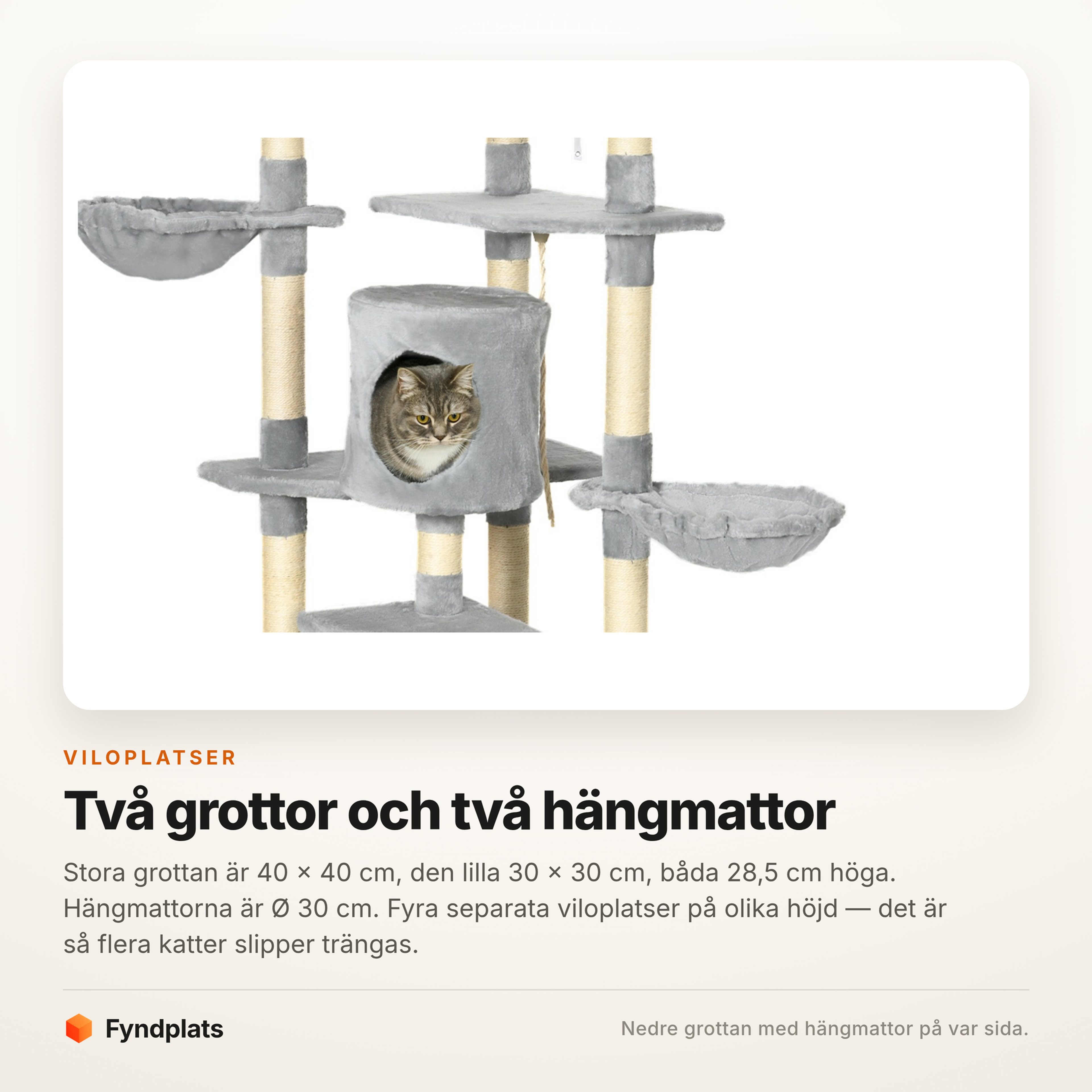 Katt i den nedre grottan med en hängmatta på var sida