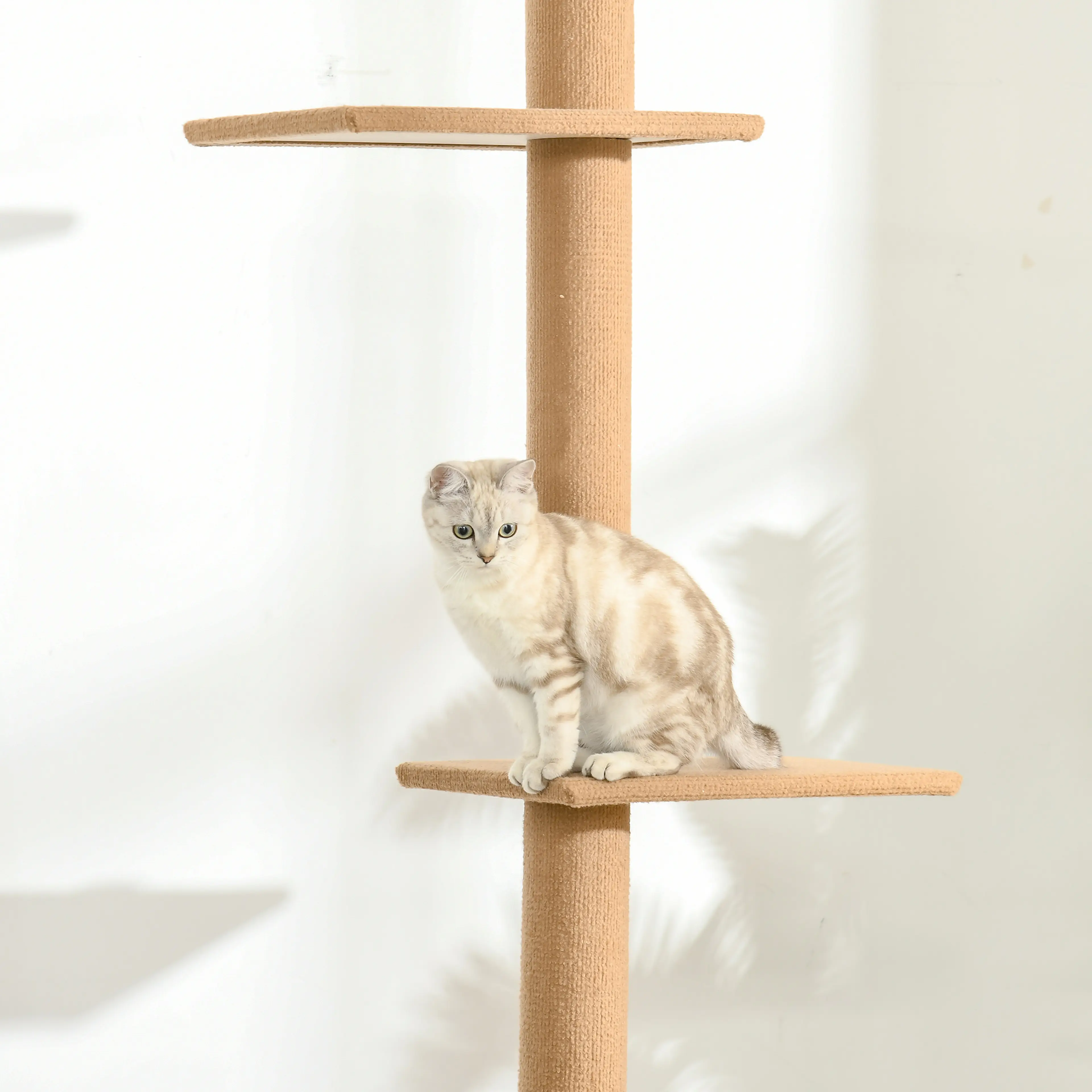 Katt som sitter på en av de ljusbruna plattformarna