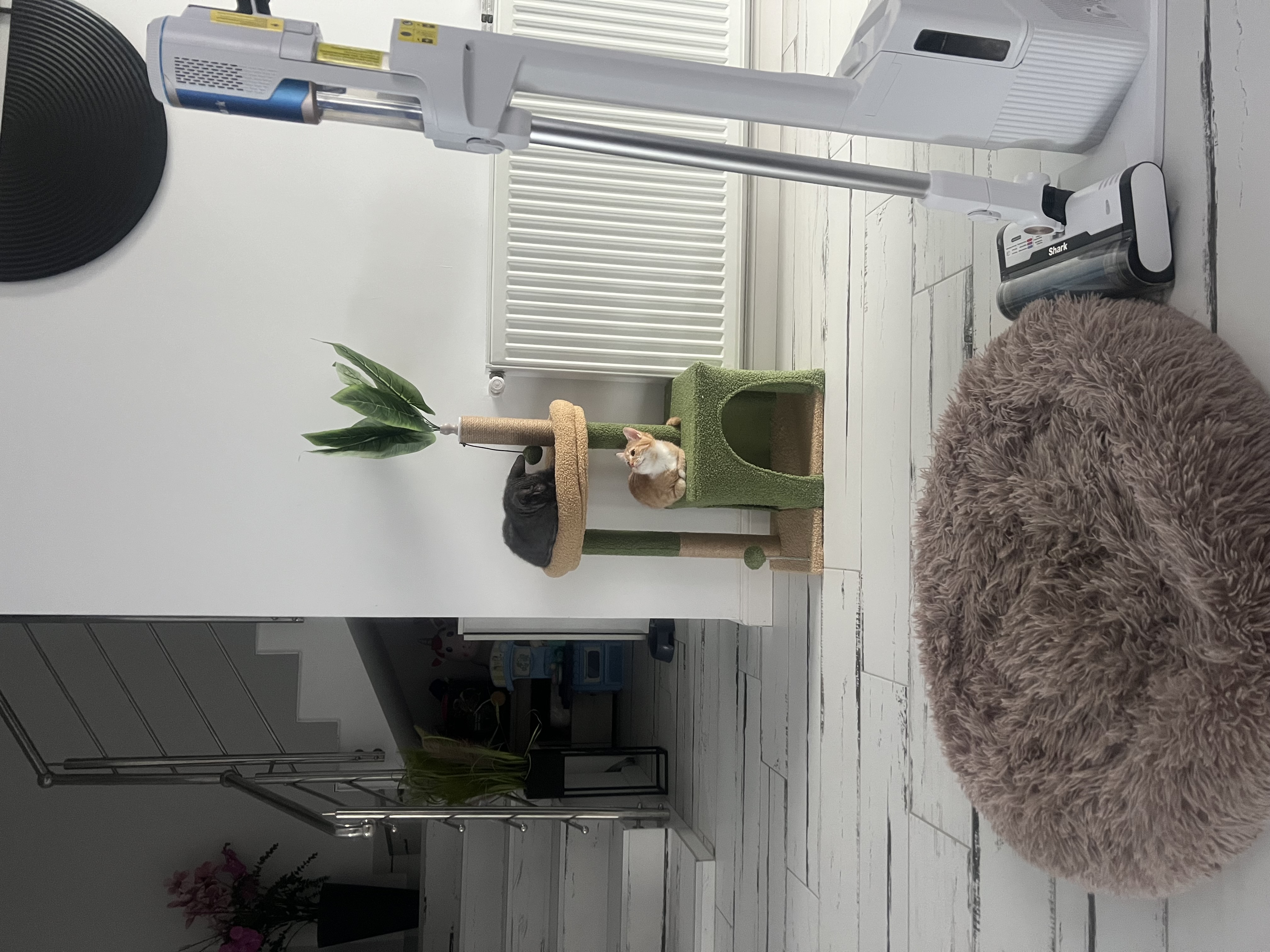 Kundbild från R.S.