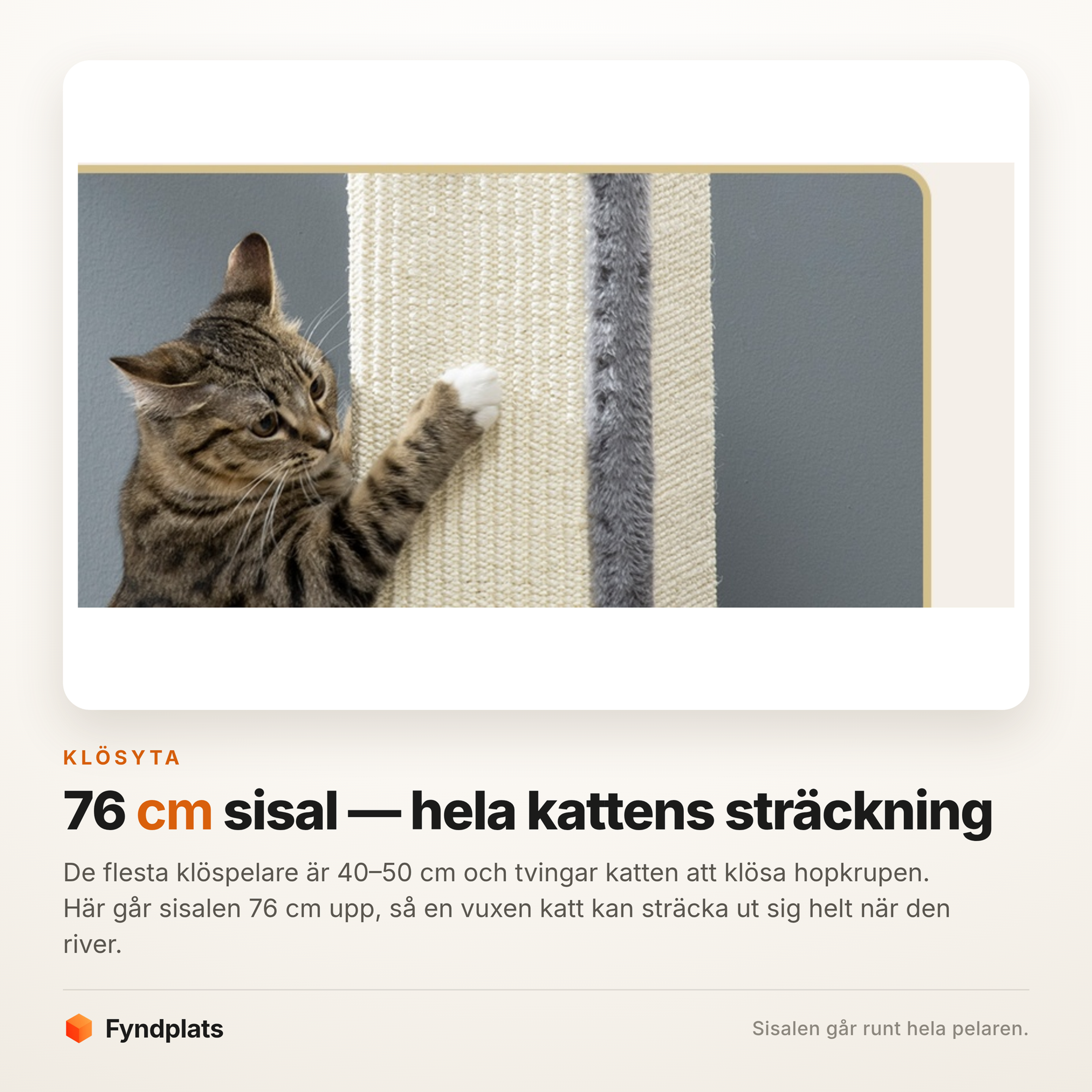 Närbild på kattens tass mot pelarens sisalyta