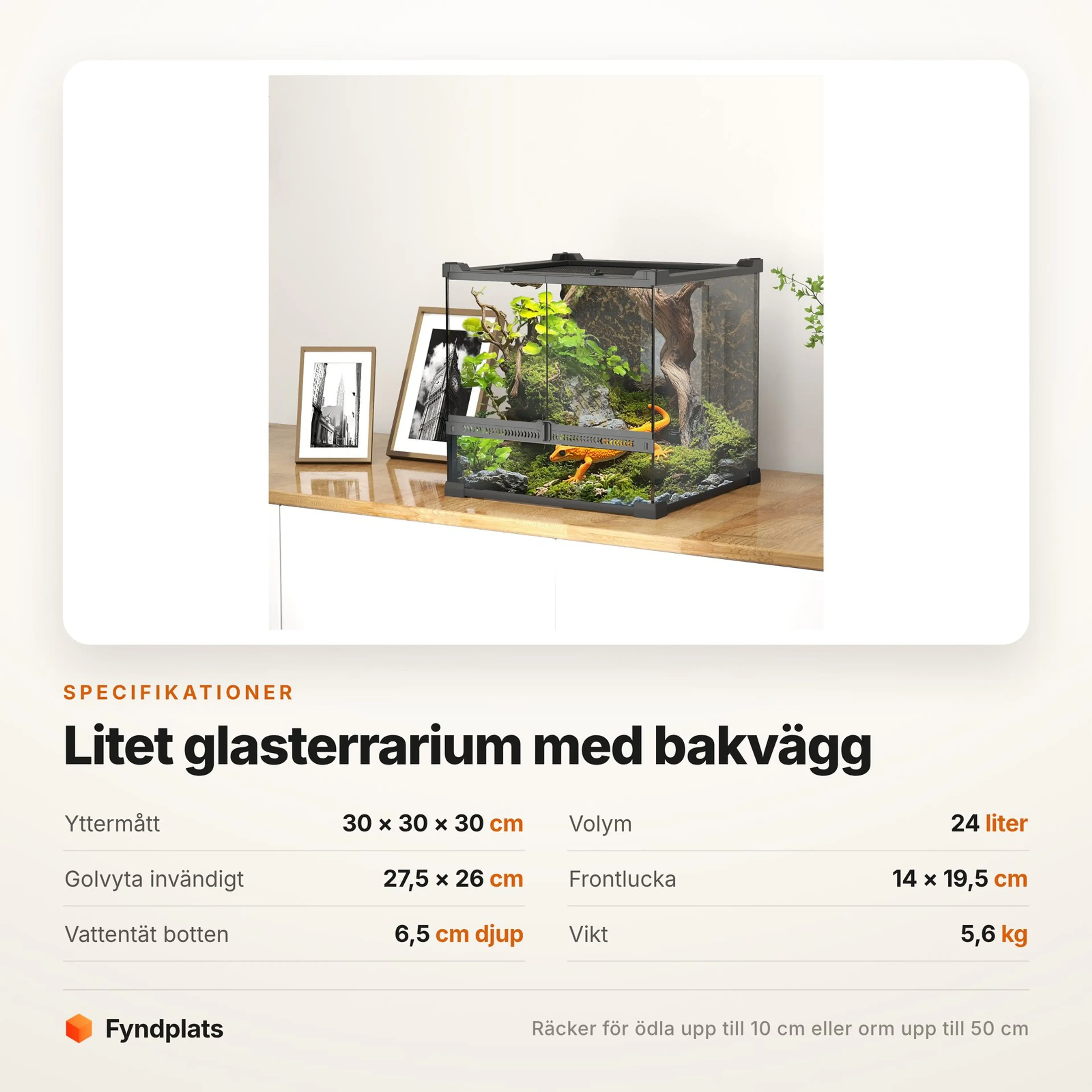 Litet glasterrarium 30 × 30 × 30 cm med strukturerad bakvägg – bild 3