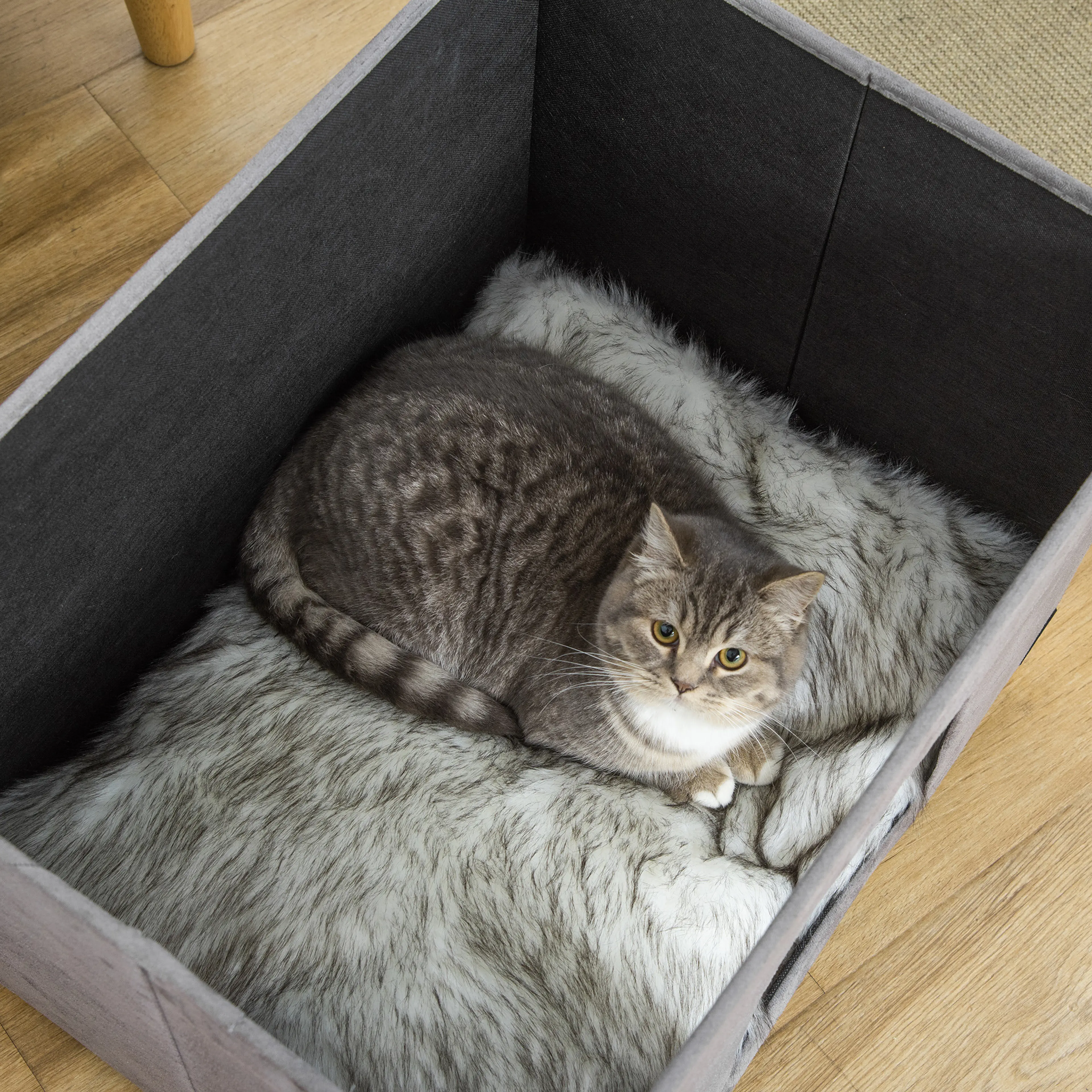 Locket uppfällt så att den vadderade kattbädden inuti syns, med en katt i den