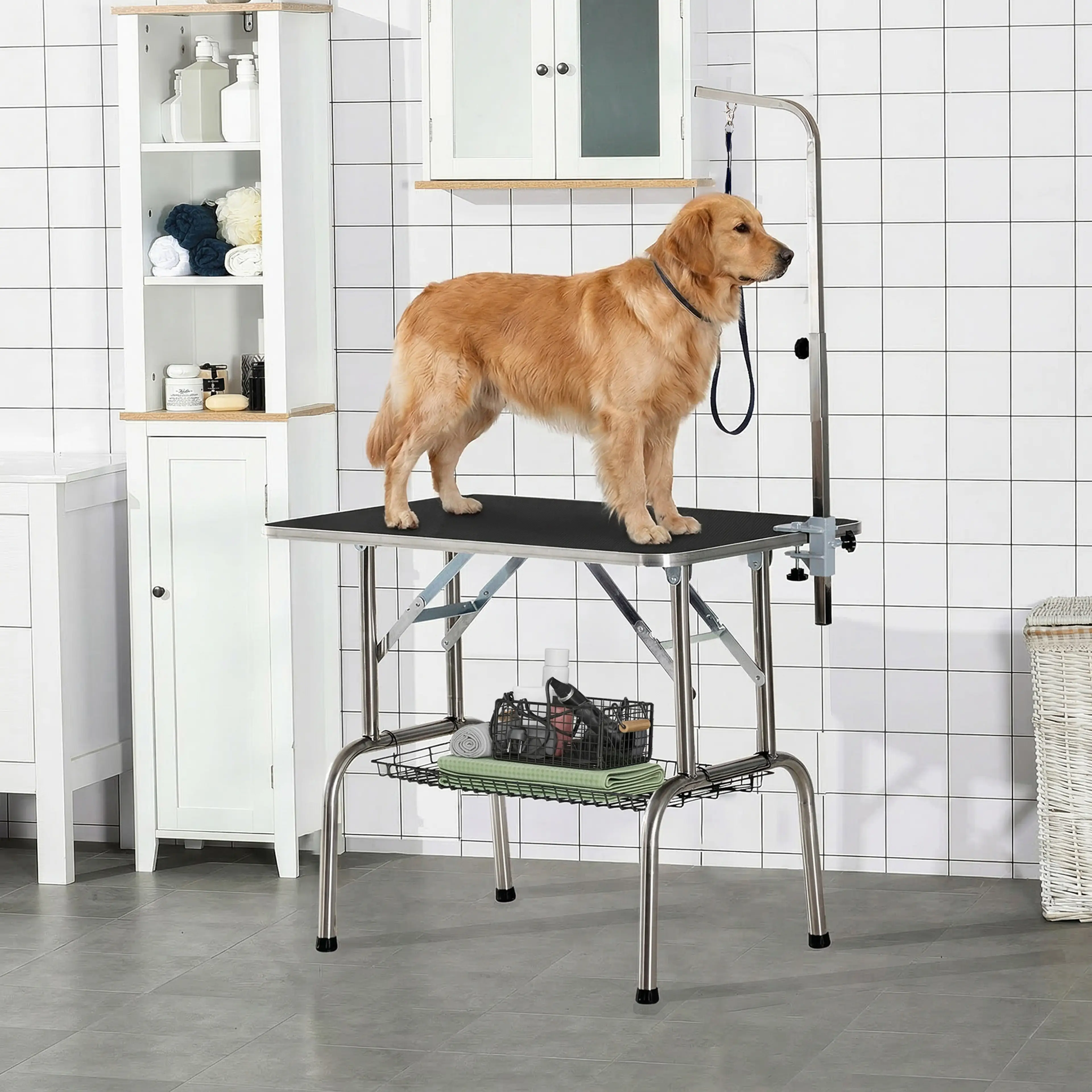 En golden retriever står på trimbordet, kopplad till galgen, i ett badrum
