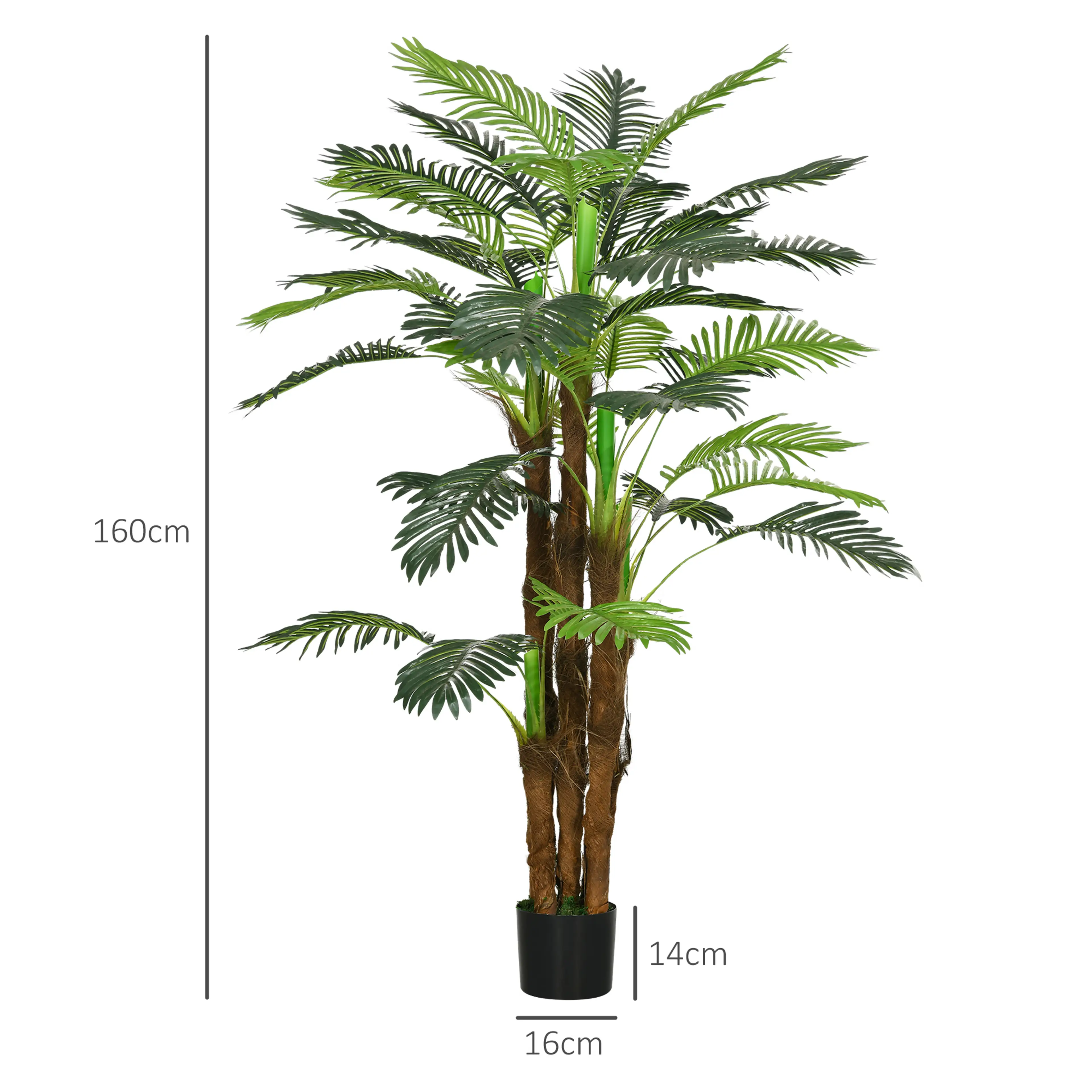 Måttbild: palmen är 160 cm hög och krukan Ø16 cm och 14 cm hög