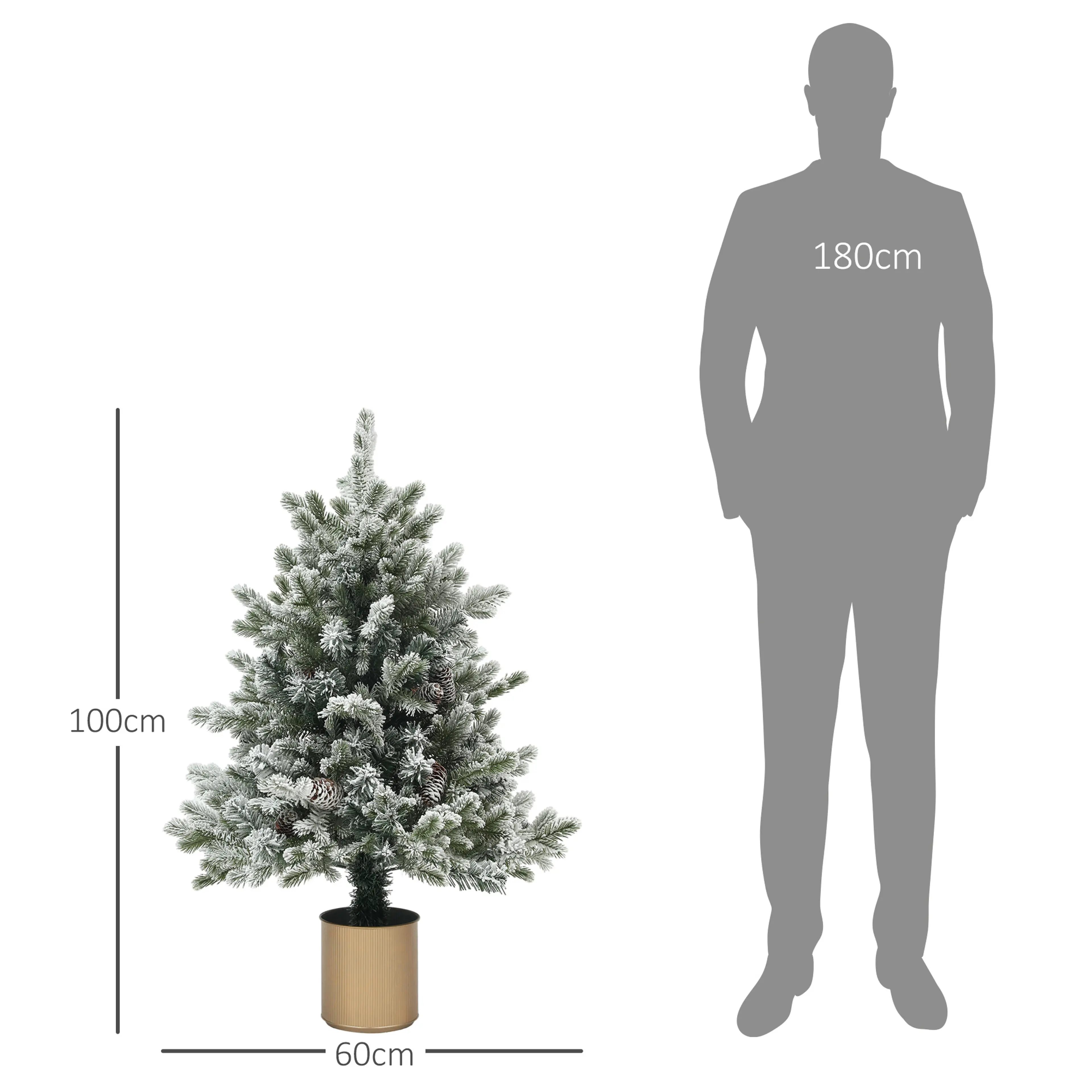 Måttbild: granen är 100 cm hög och 60 cm bred, bredvid en mänsklig siluett
