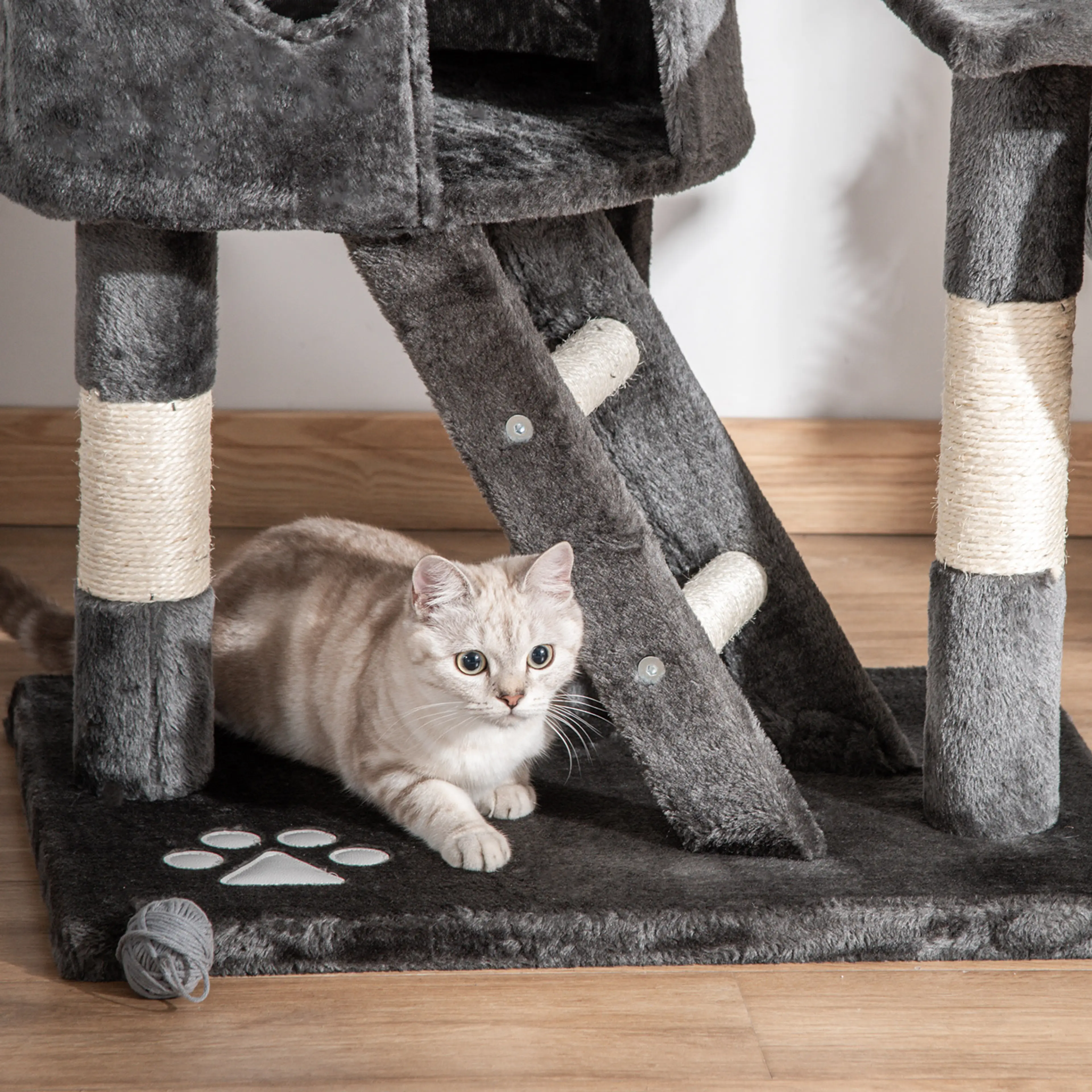 Katt som ligger på sockeln under trädets ramp