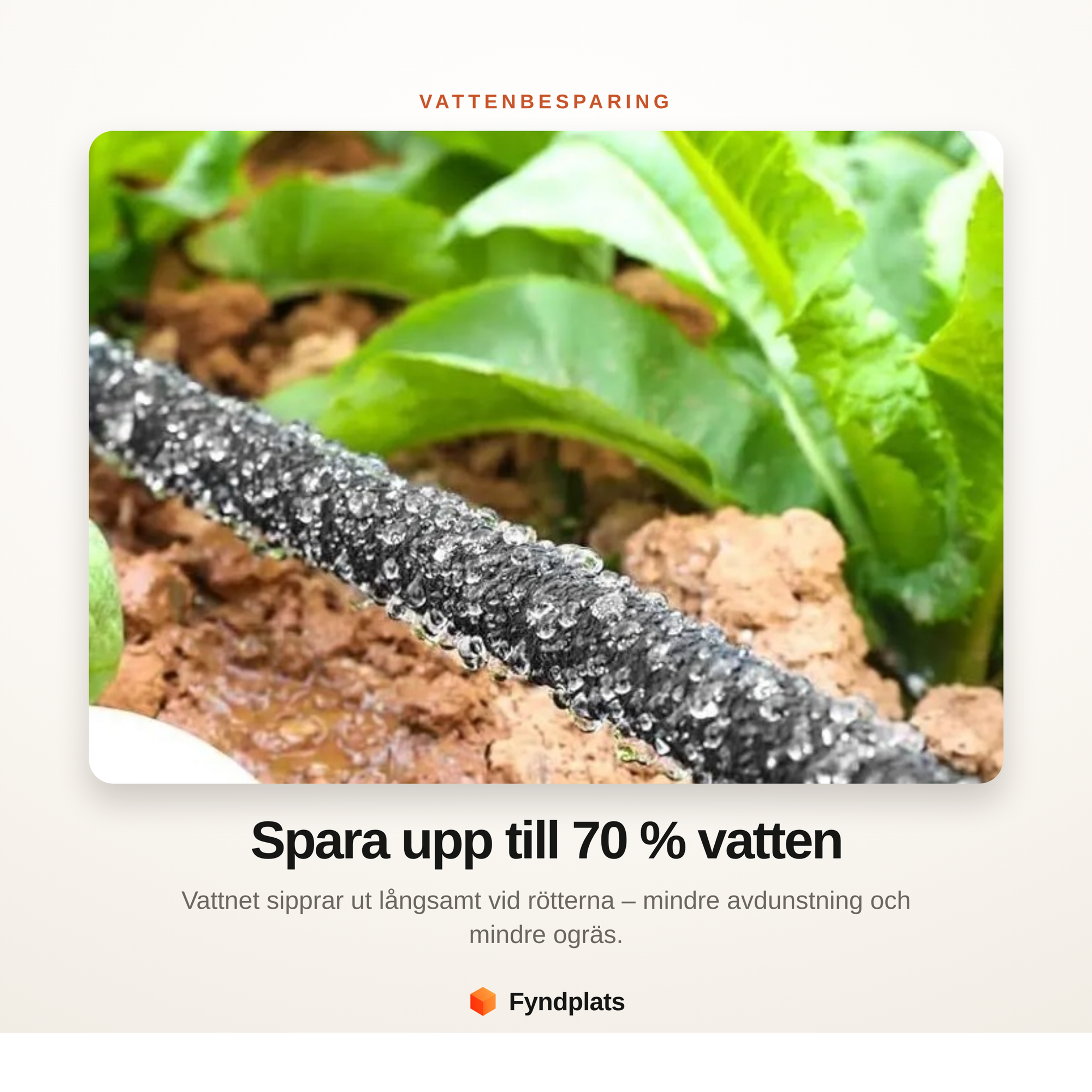 Droppslang som vattnar grönsaksland vid rötterna och sparar vatten