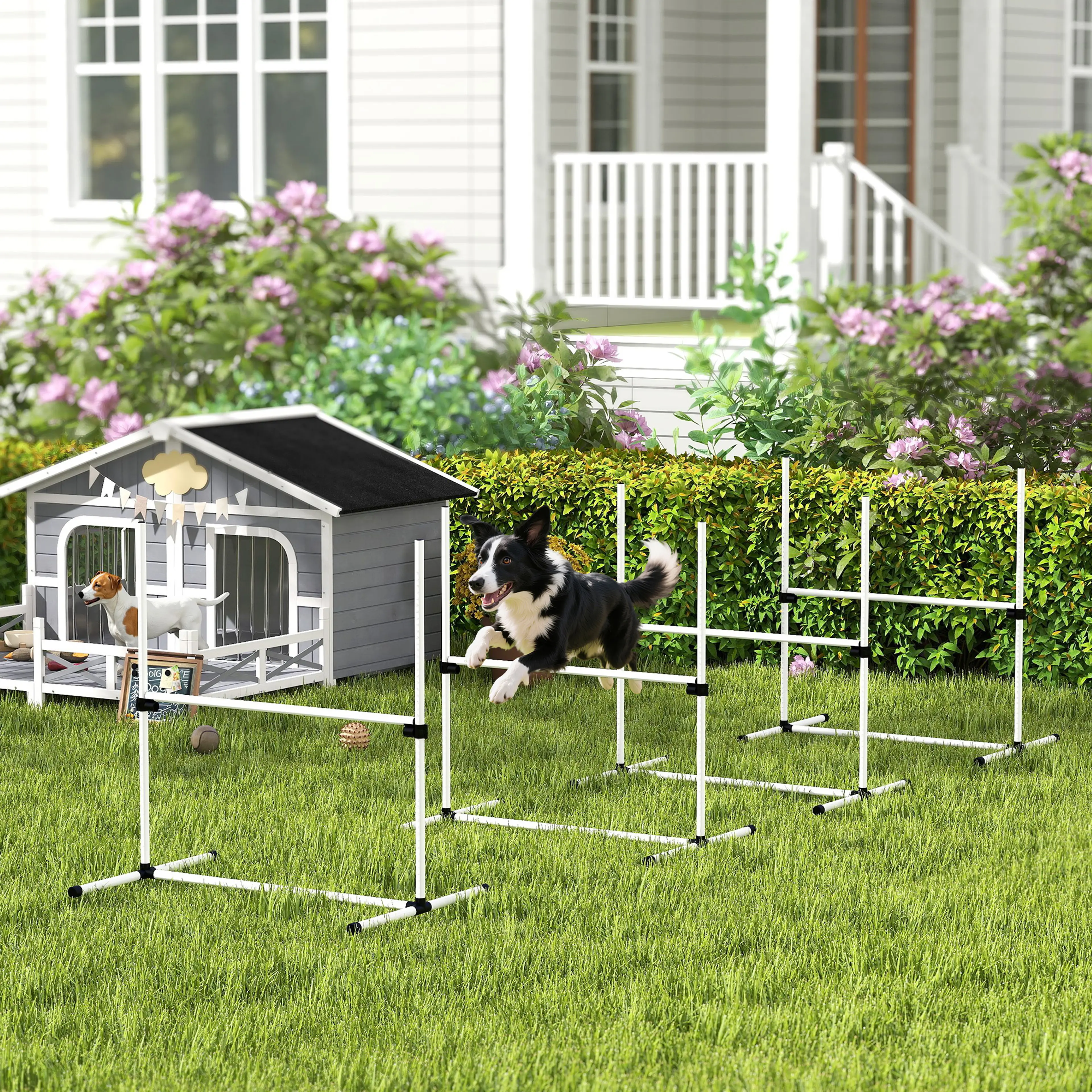 Hopphindren uppställda på en gräsmatta där en hund hoppar över det första hindret