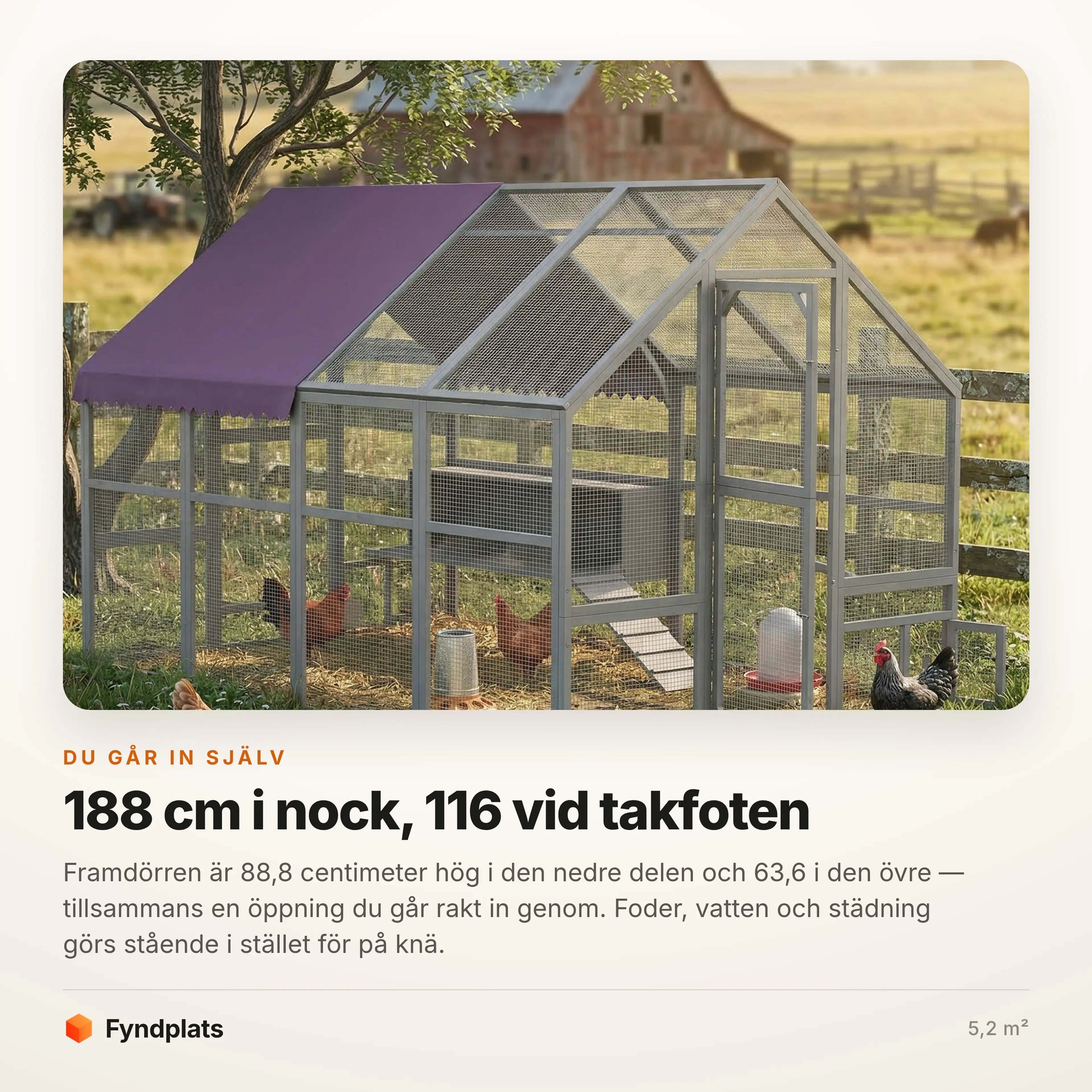 Framdörren öppen med höns i gården