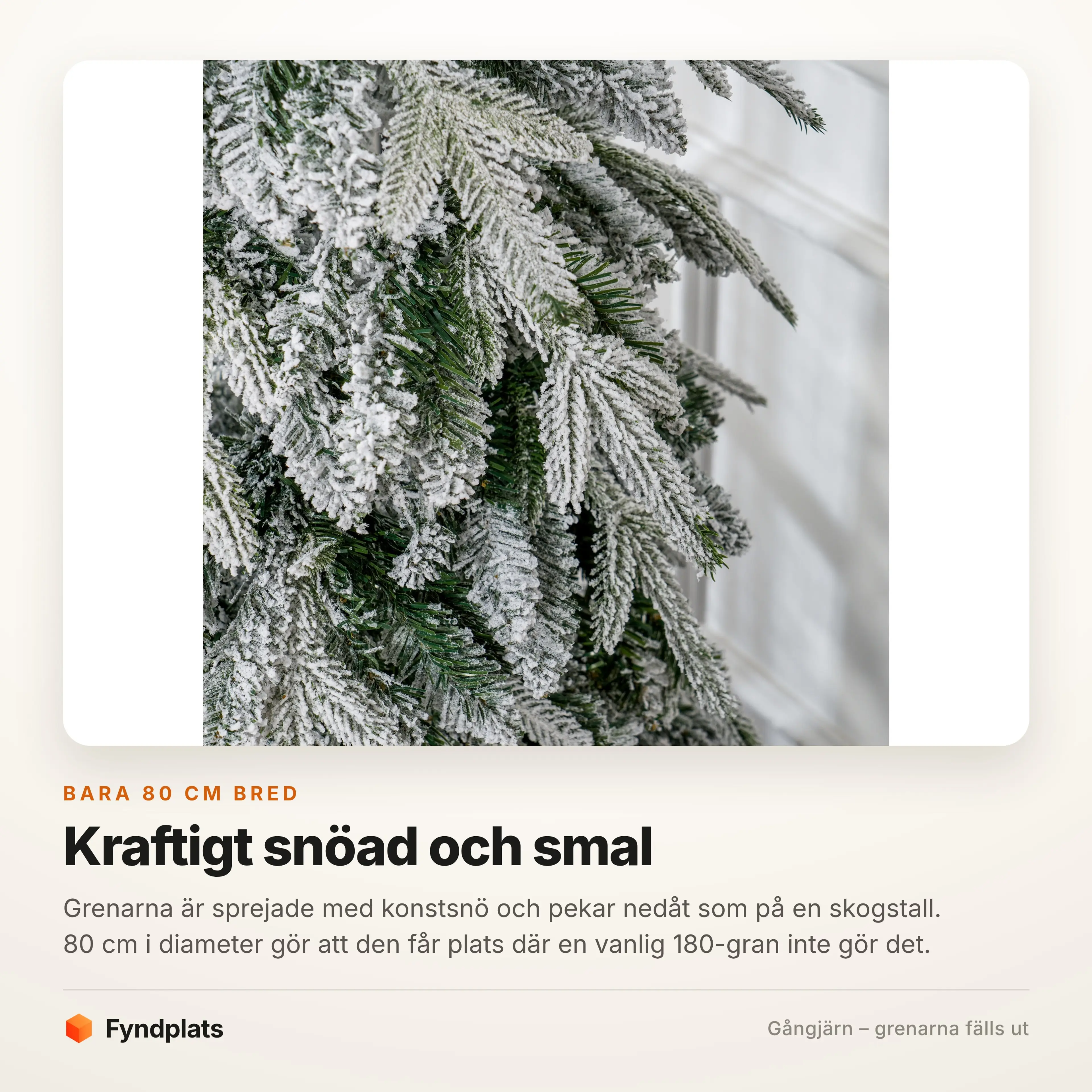 Närbild på de snöade grenarna