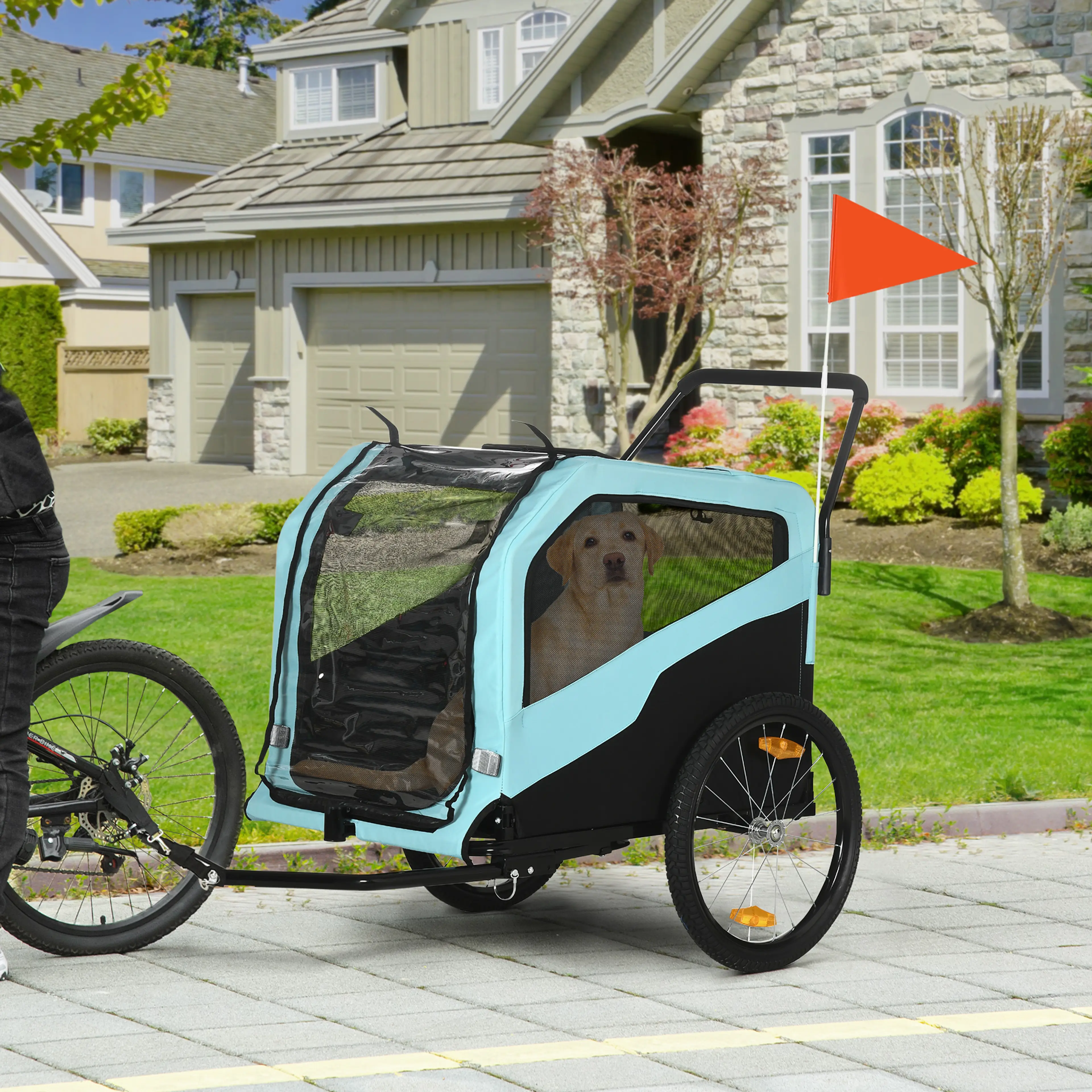 Cykelvagnen kopplad efter en cykel med en golden retriever inuti