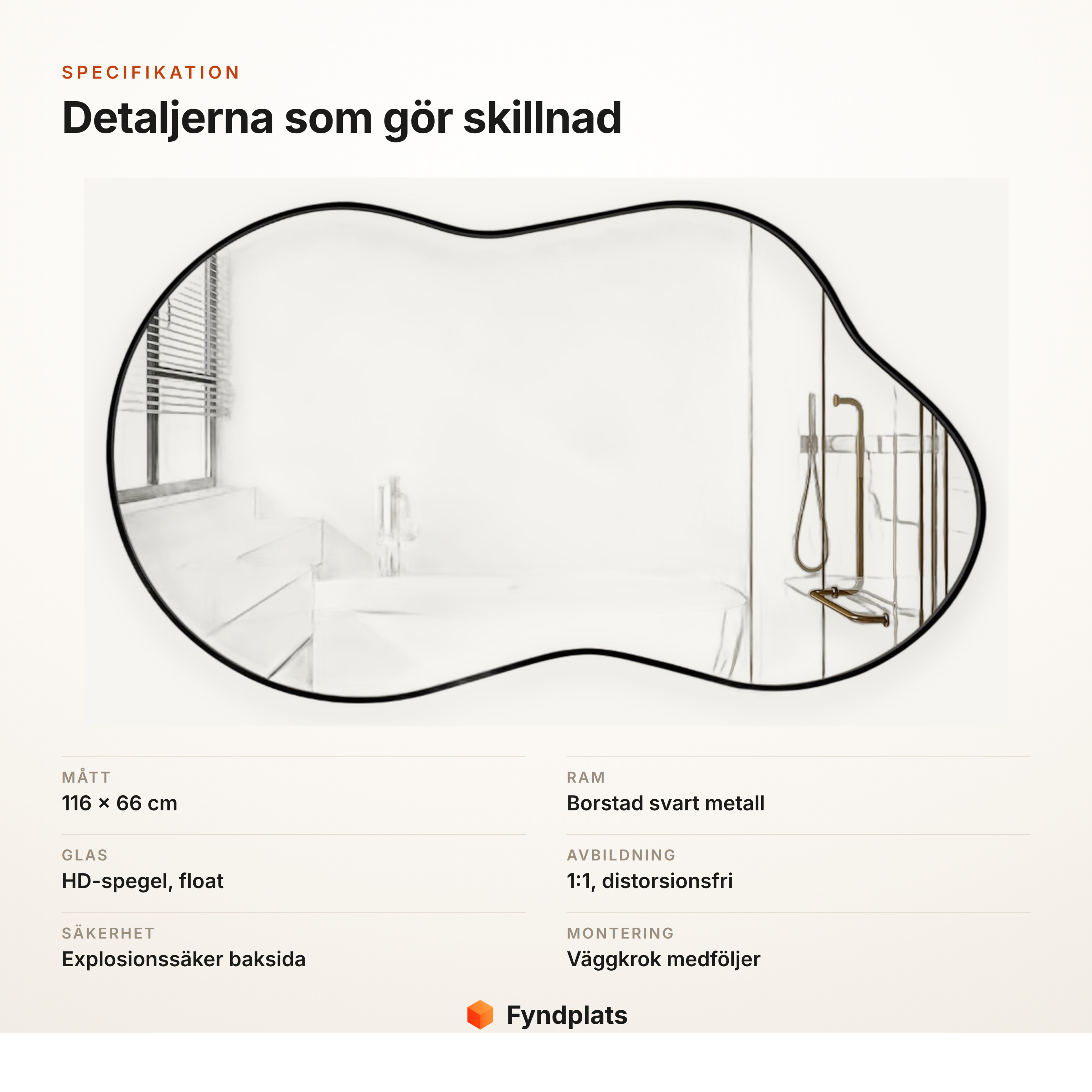 Specifikationskort för dekorativ väggspegel 116×66 cm med borstad svart metallram